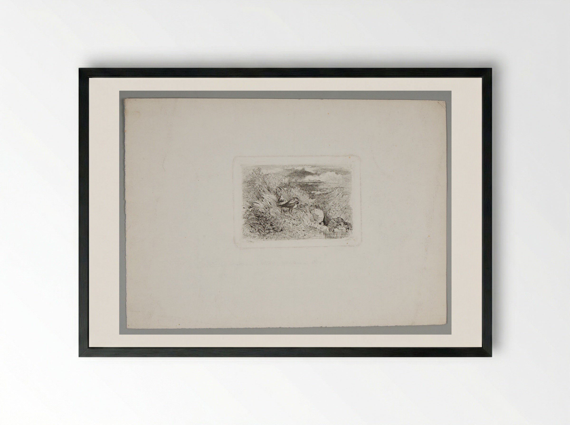 Two Plovers (or Lapwings, or Peewits) - Karl Bodmer - Framed Print Black