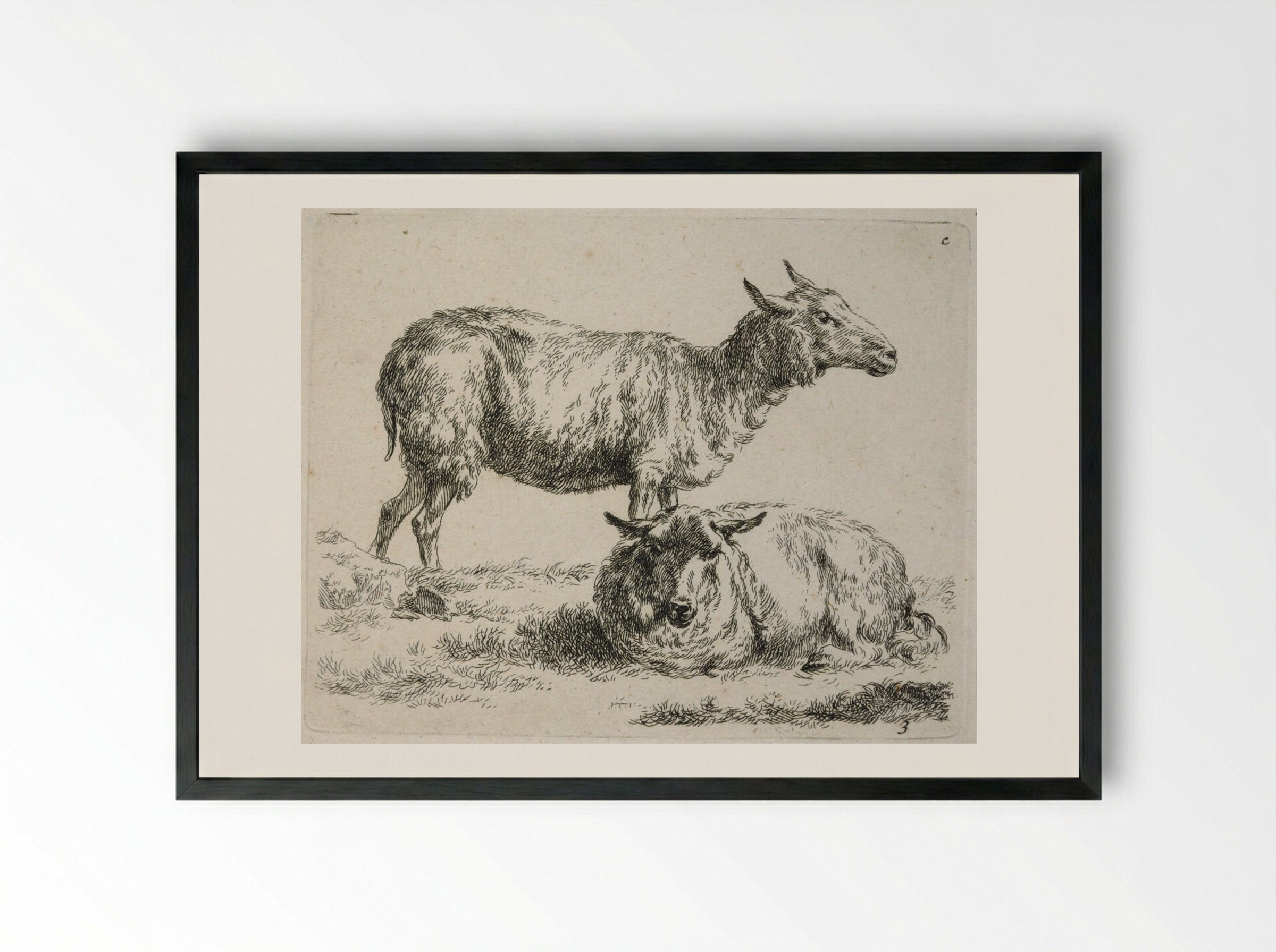 Two Sheep: One Standing, One Lying Down - Nicolaes Berchem - Framed Print Black