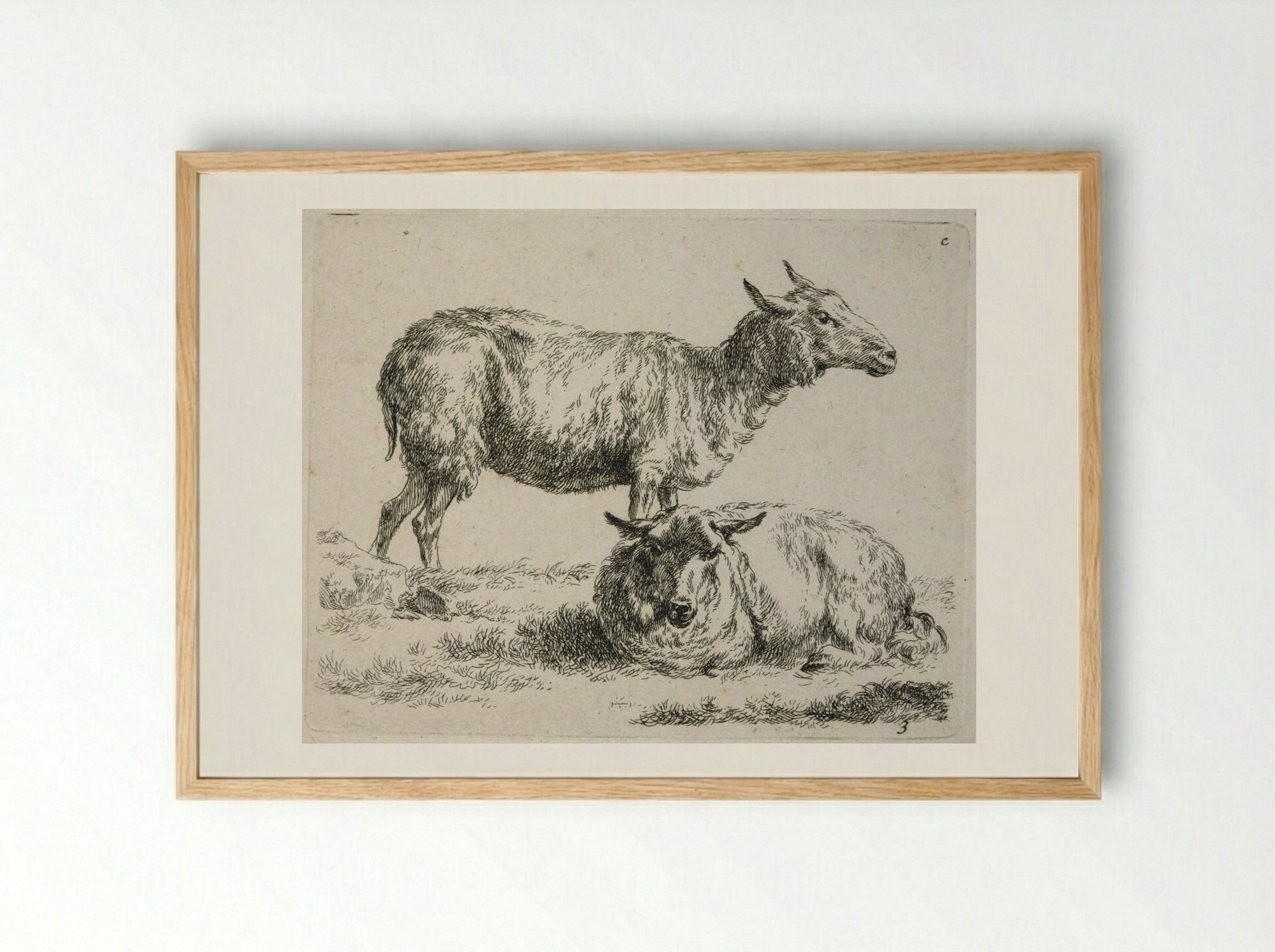 Two Sheep: One Standing, One Lying Down - Nicolaes Berchem - Framed Print Wood