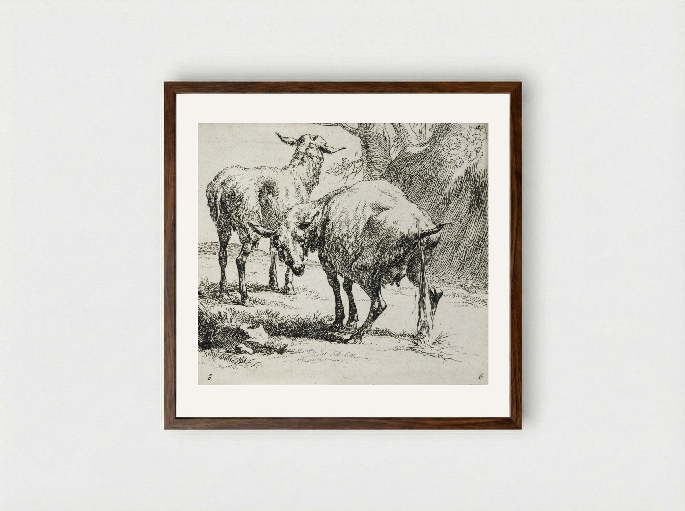 Two Sheep: One Urinating - Nicolaes Berchem - Framed Print Dark Wood