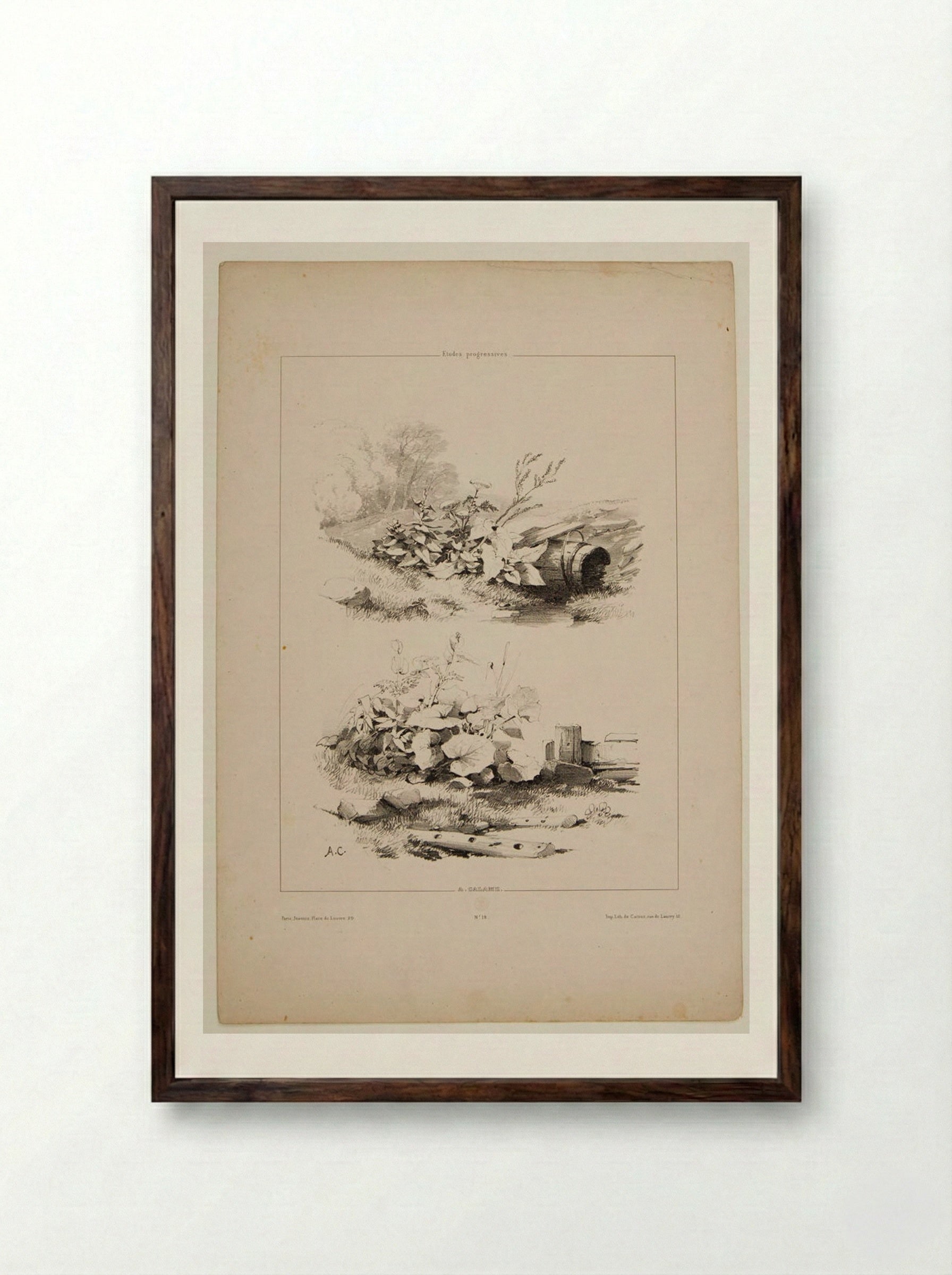 Two Sketches of Wildflowers and Fenceposts - Alexandre Calame - Framed Print Dark Wood