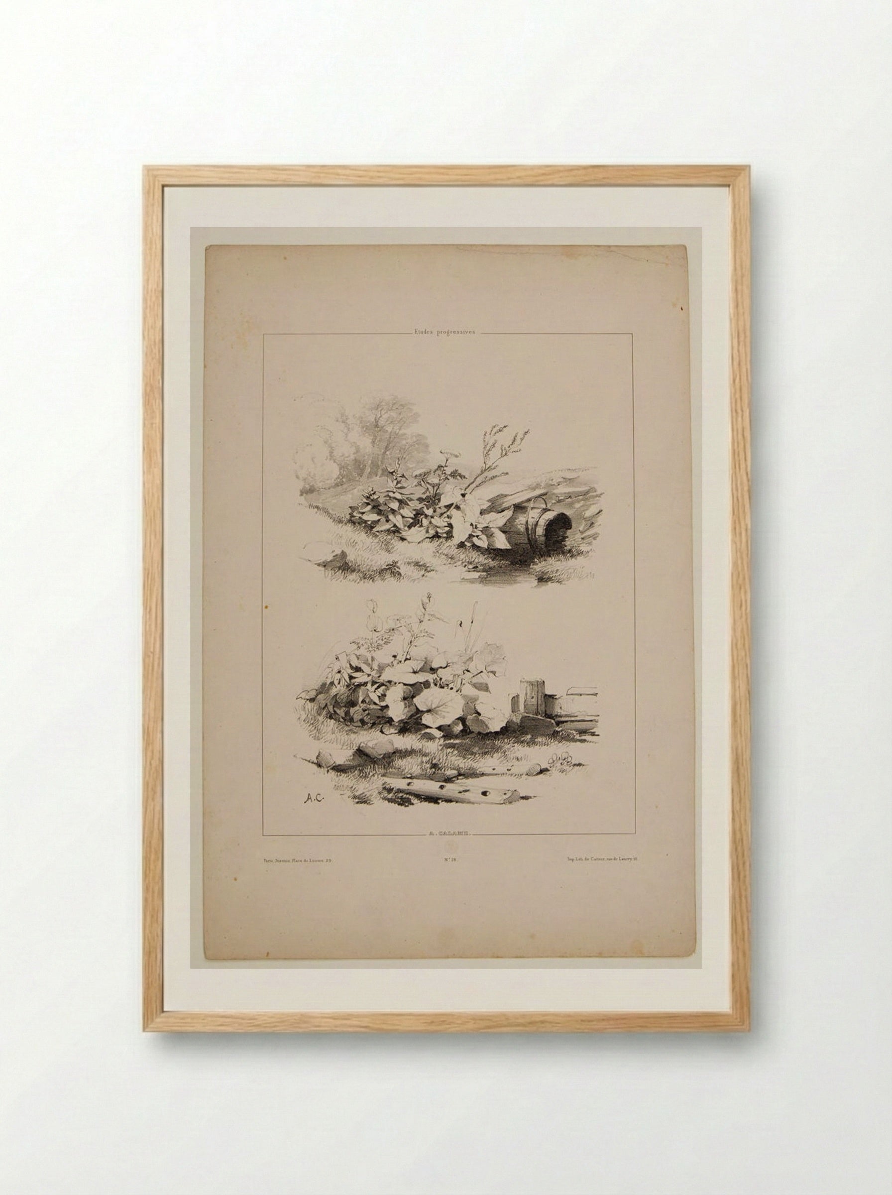 Two Sketches of Wildflowers and Fenceposts - Alexandre Calame - Framed Print Wood