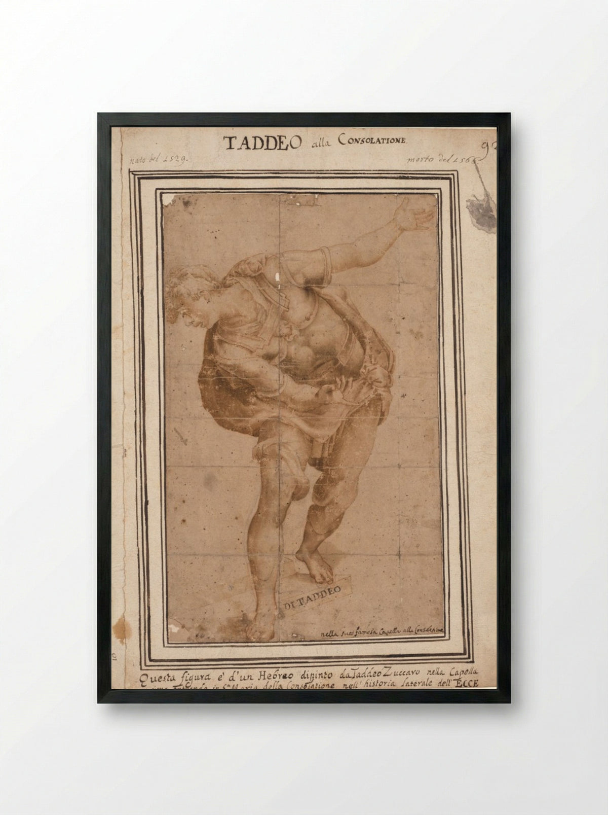 Un Hebreo, from Christ Shown to the People (recto) - Taddeo Zuccaro - Framed Print Black