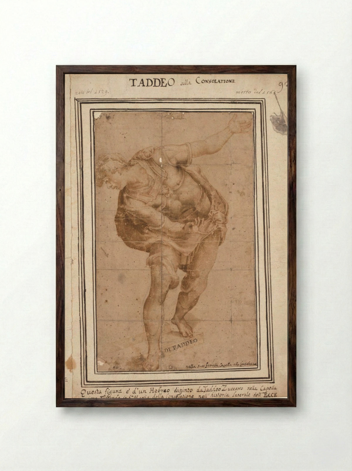 Un Hebreo, from Christ Shown to the People (recto) - Taddeo Zuccaro - Framed Print Dark Wood