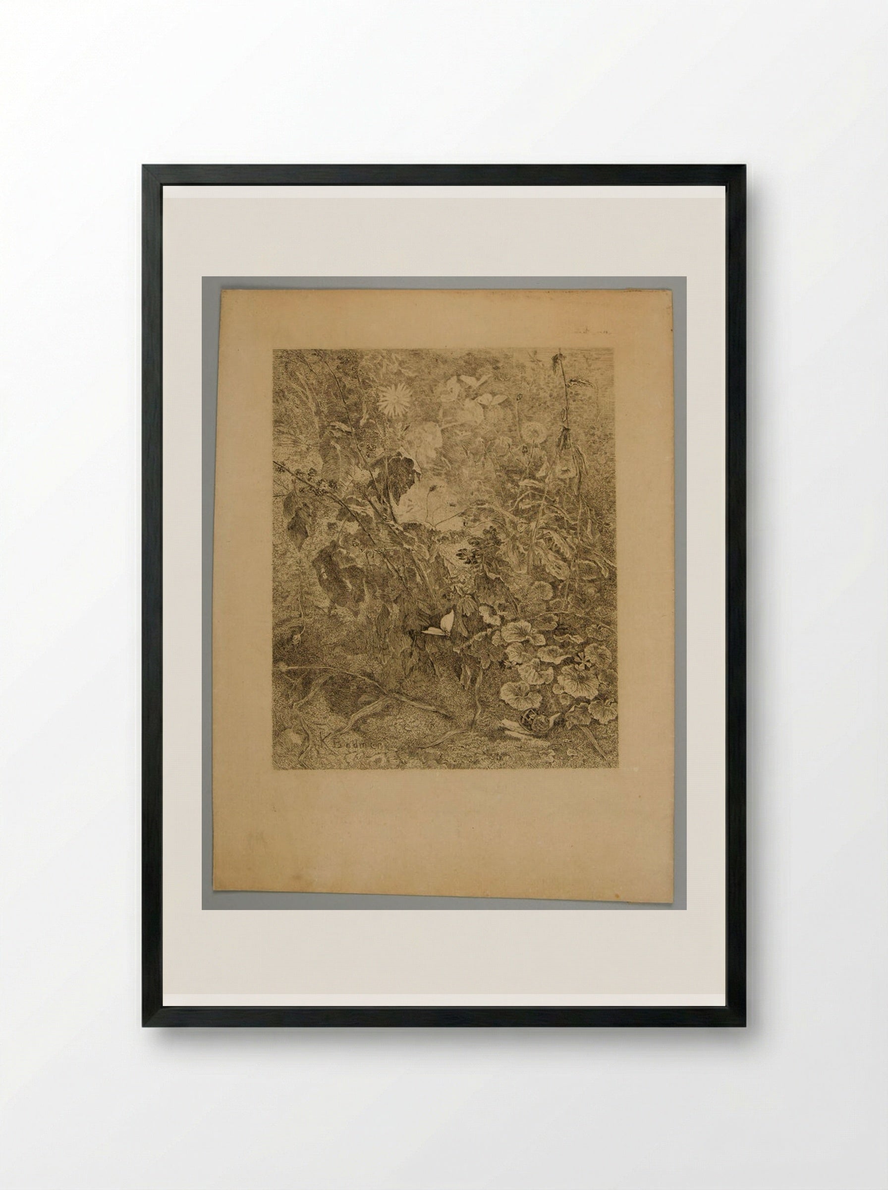 Undergrowth with a Butterfly and a Snail - Karl Bodmer - Framed Print Black