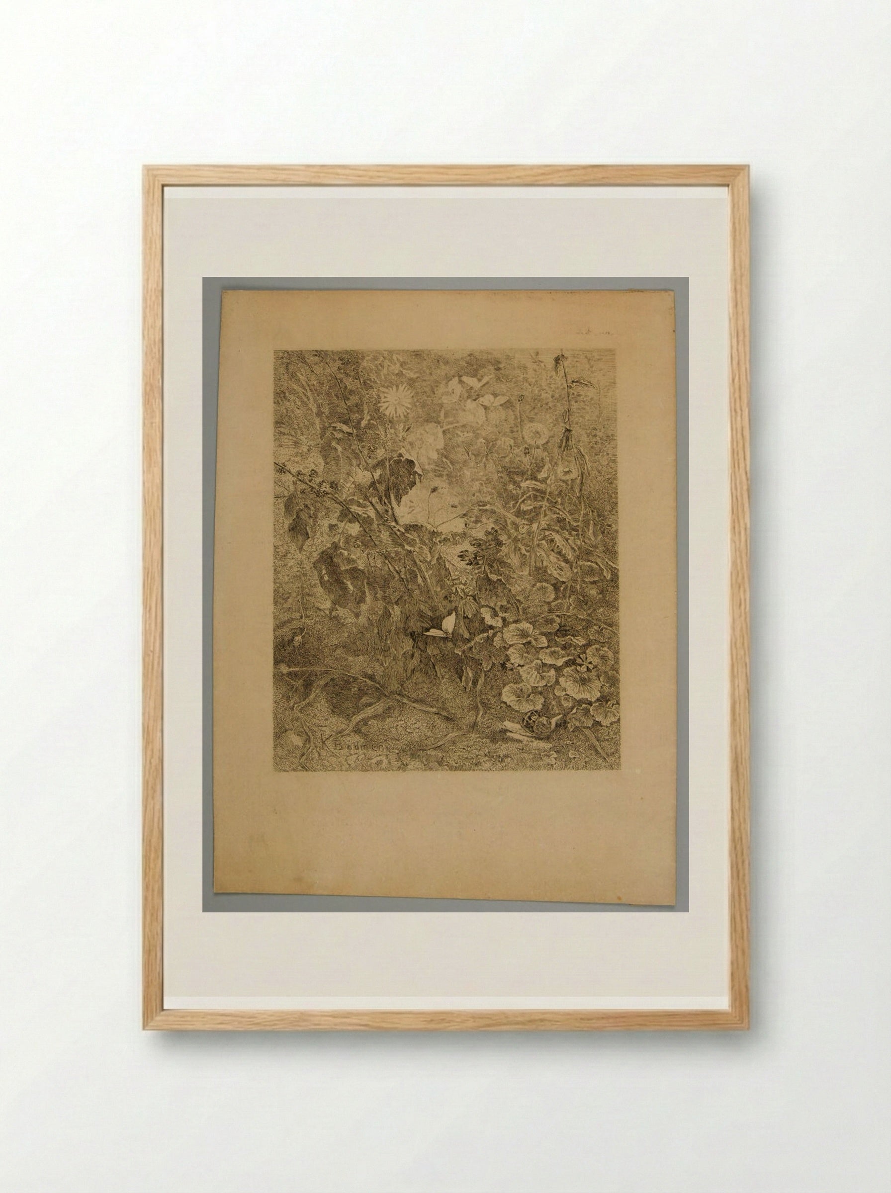Undergrowth with a Butterfly and a Snail - Karl Bodmer - Framed Print Wood