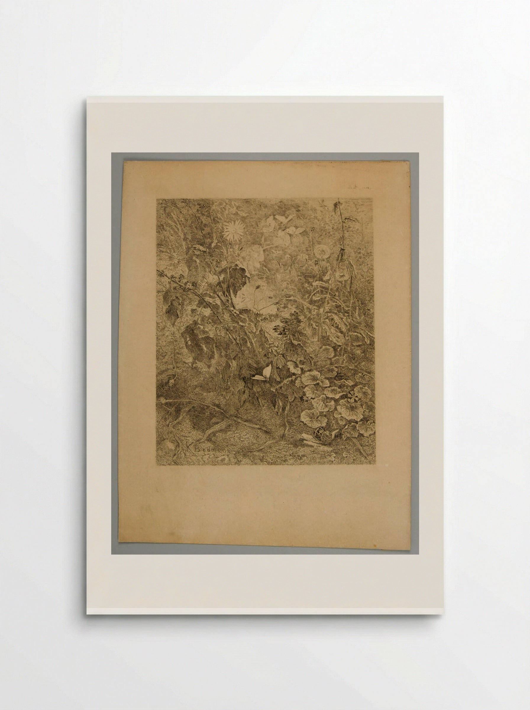 Undergrowth with a Butterfly and a Snail - Karl Bodmer - Poster