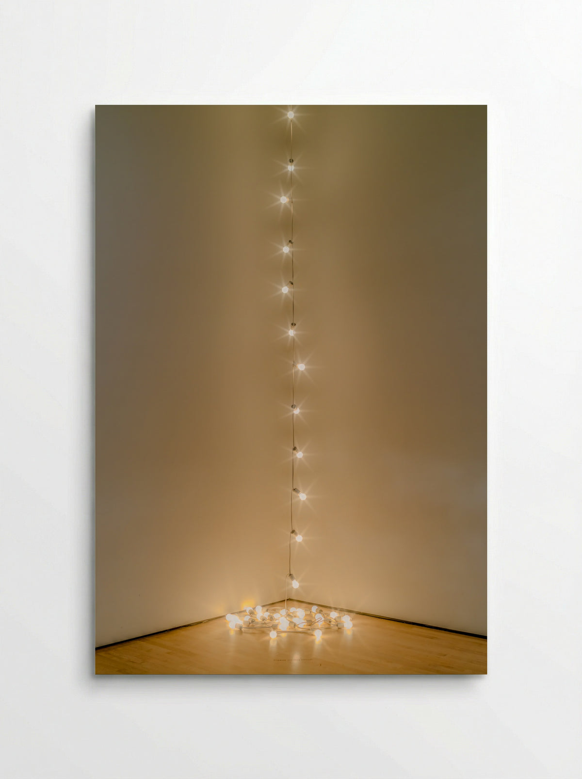 Untitled (America) - Felix Gonzalez-Torres - Poster