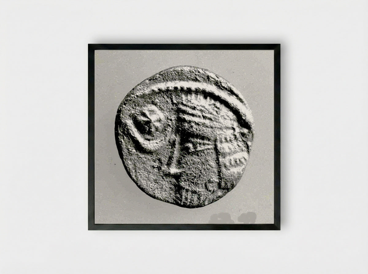 Untitled (Ancient Coin, Archaeological Study) - Fine Art Print - Framed Print Black