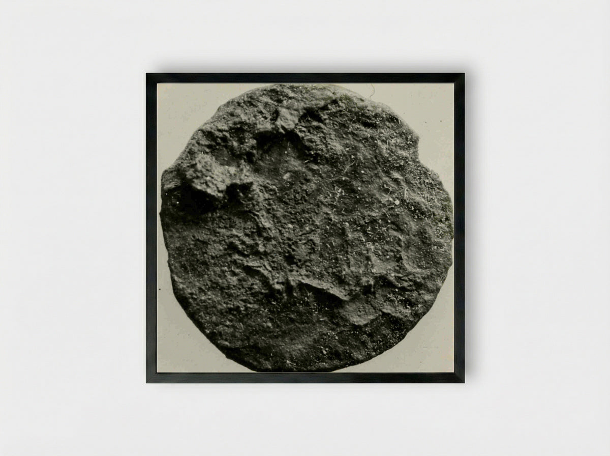 Untitled (Ancient Coin, Archaeological Study) - Fine Art Print - Framed Print Black