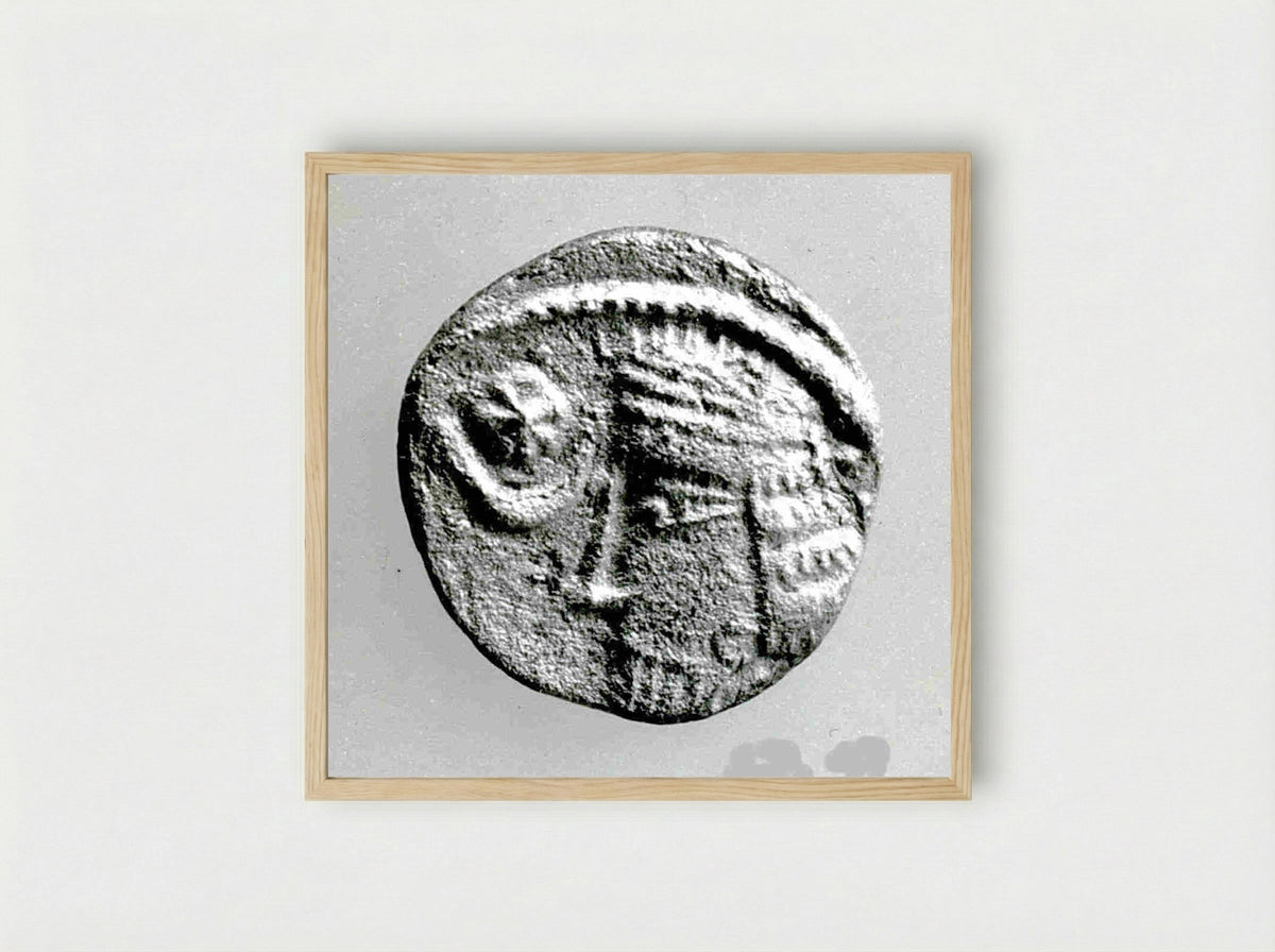 Untitled (Ancient Coin, Archaeological Study) - Fine Art Print - Framed Print Wood
