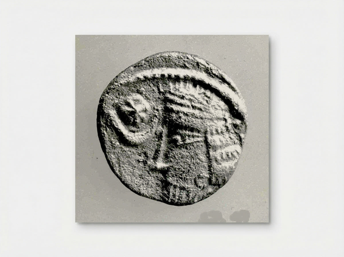 Untitled (Ancient Coin, Archaeological Study) - Fine Art Print - Poster