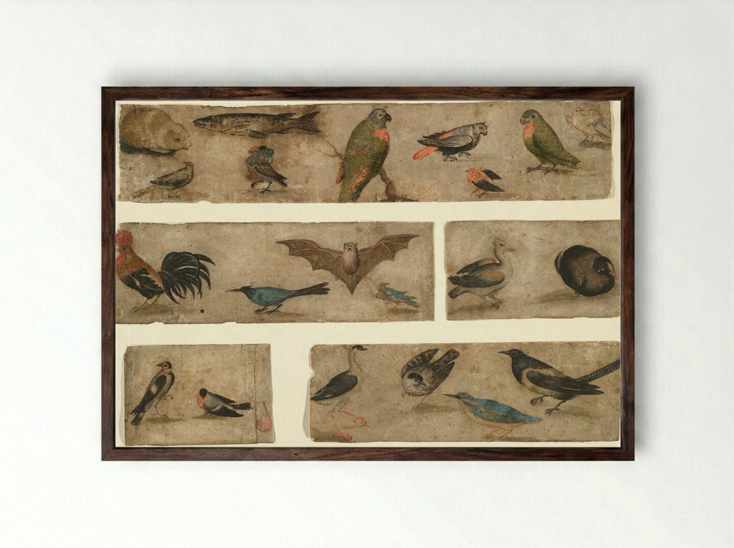 Untitled (Animal and Bird Studies) - Fine Art Print - Framed Print Dark Wood