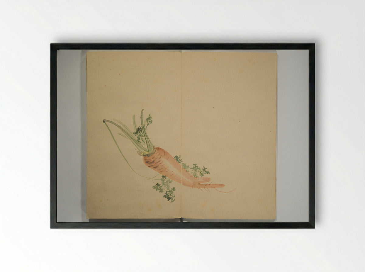 Untitled (Carrot Study) - Nishiyama Hōen - Framed Print Black