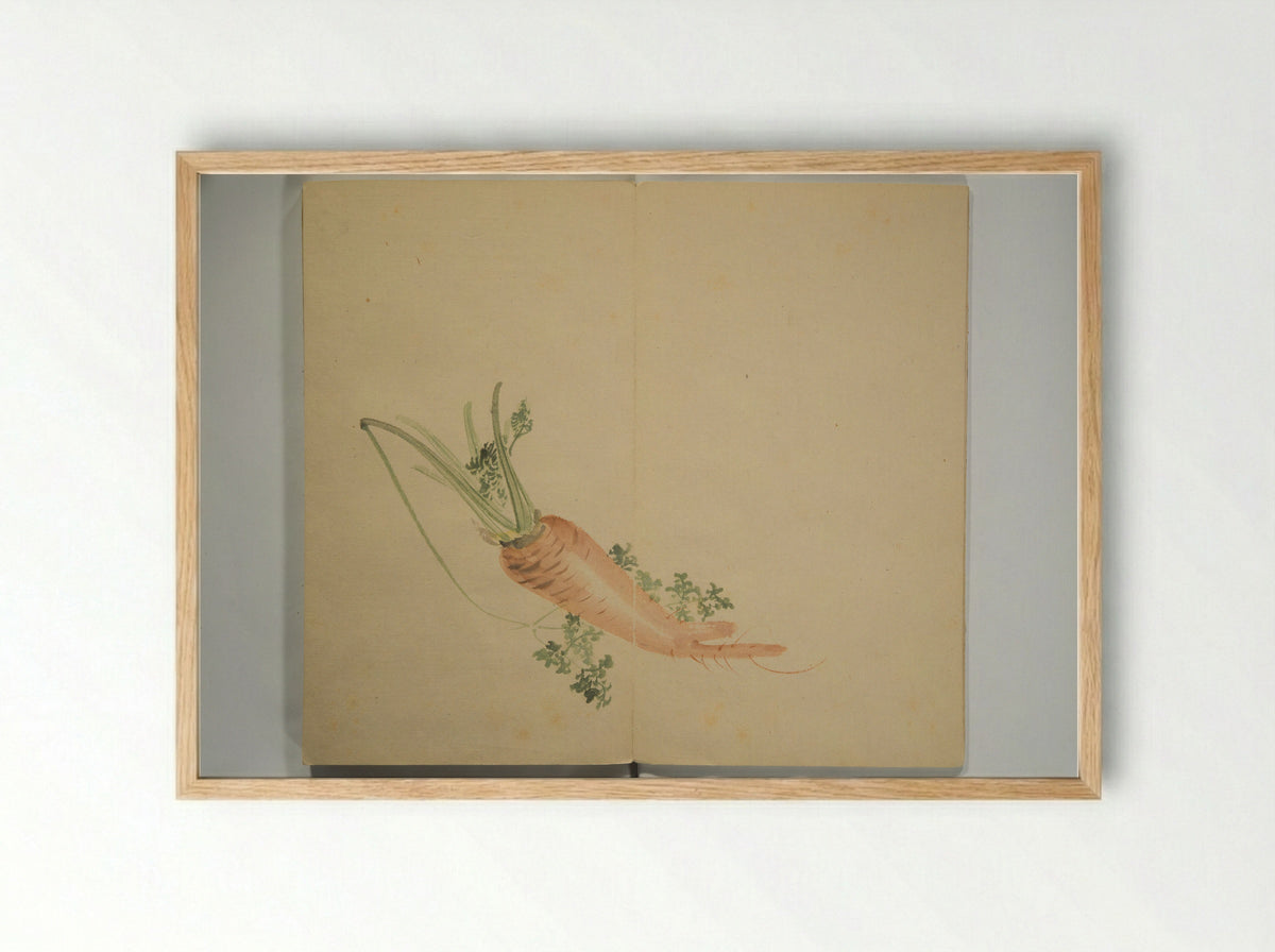 Untitled (Carrot Study) - Nishiyama Hōen - Framed Print Wood