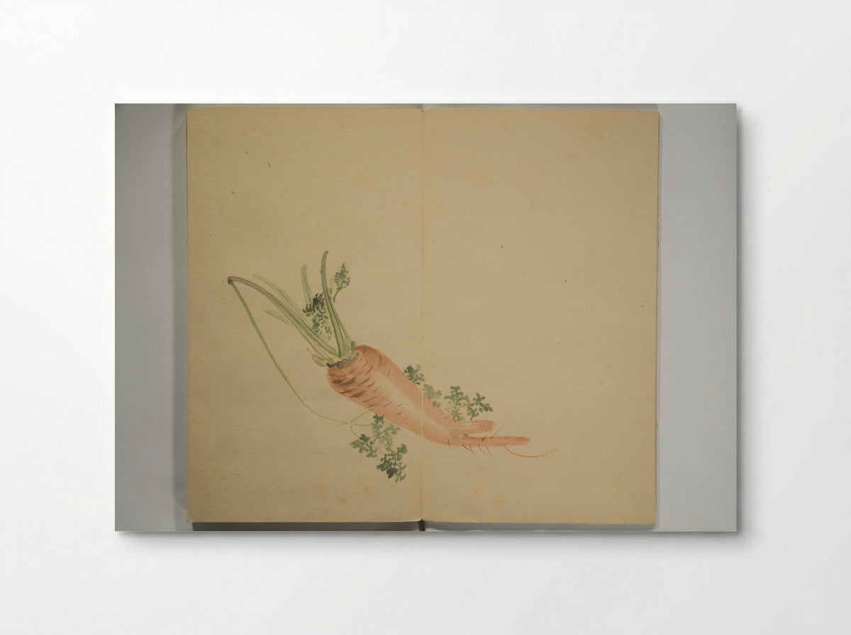 Untitled (Carrot Study) - Nishiyama Hōen - Poster