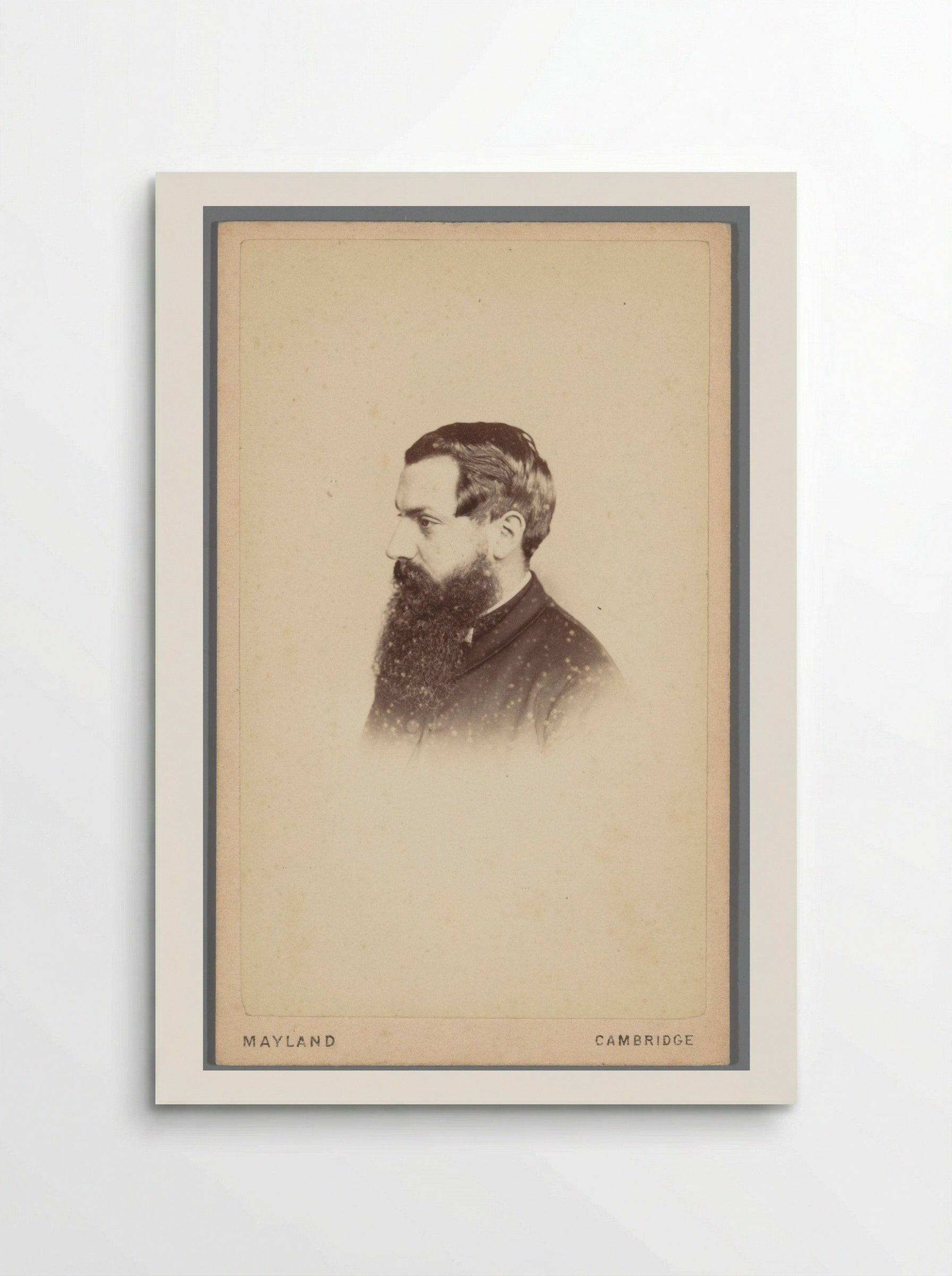 Untitled (Portrait of a Bearded Man, Carte-de-Visite) - Fine Art Print - Poster