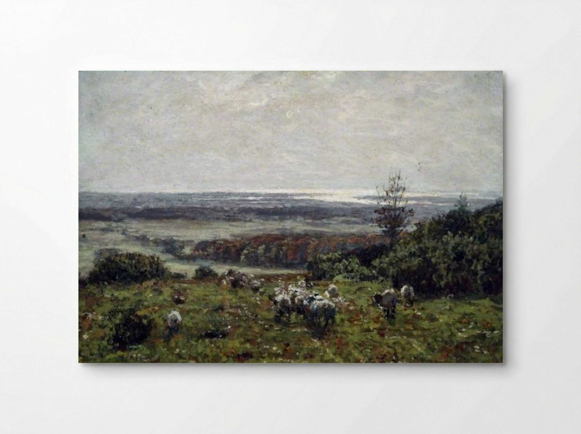 Untitled (Sheep Grazing on a Hillside) - James Charles - Poster