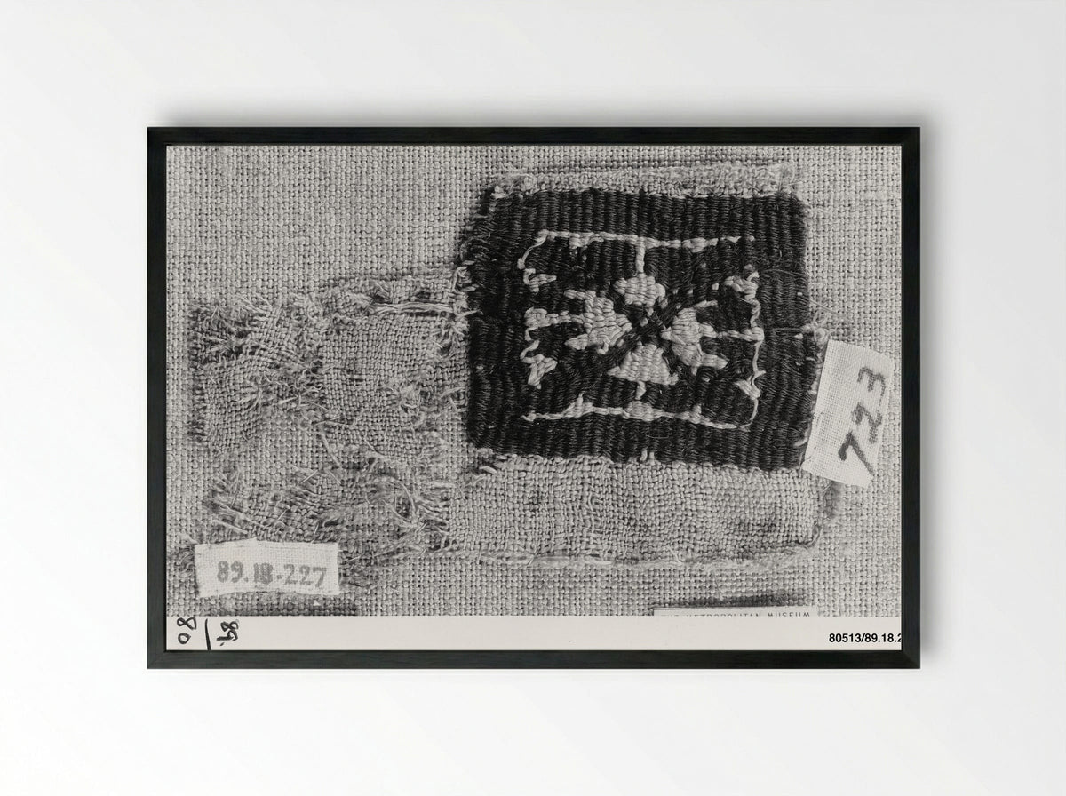 Untitled (Textile Fragment, Woven Silk) - Fine Art Print - Framed Print Black
