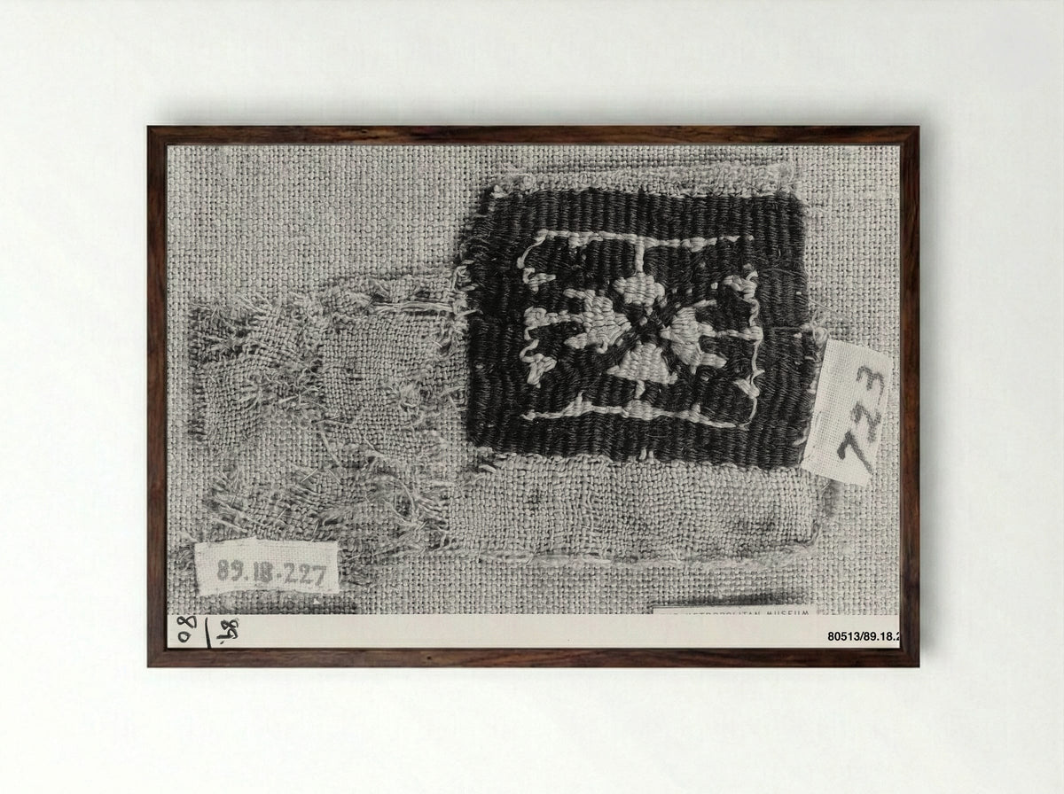 Untitled (Textile Fragment, Woven Silk) - Fine Art Print - Framed Print Dark Wood