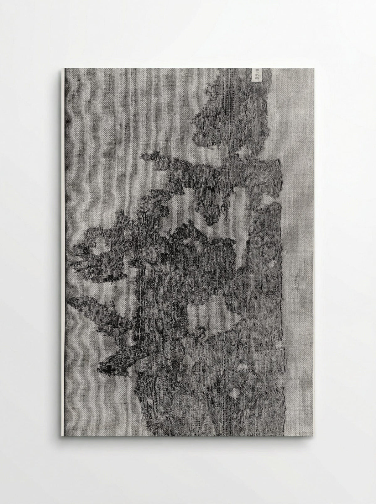 Untitled (Textile Fragment, Woven Silk) - Fine Art Print - Poster