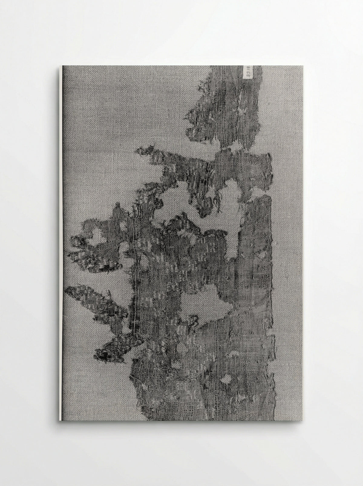 Untitled (Textile Fragment, Woven Silk) - Fine Art Print - Poster