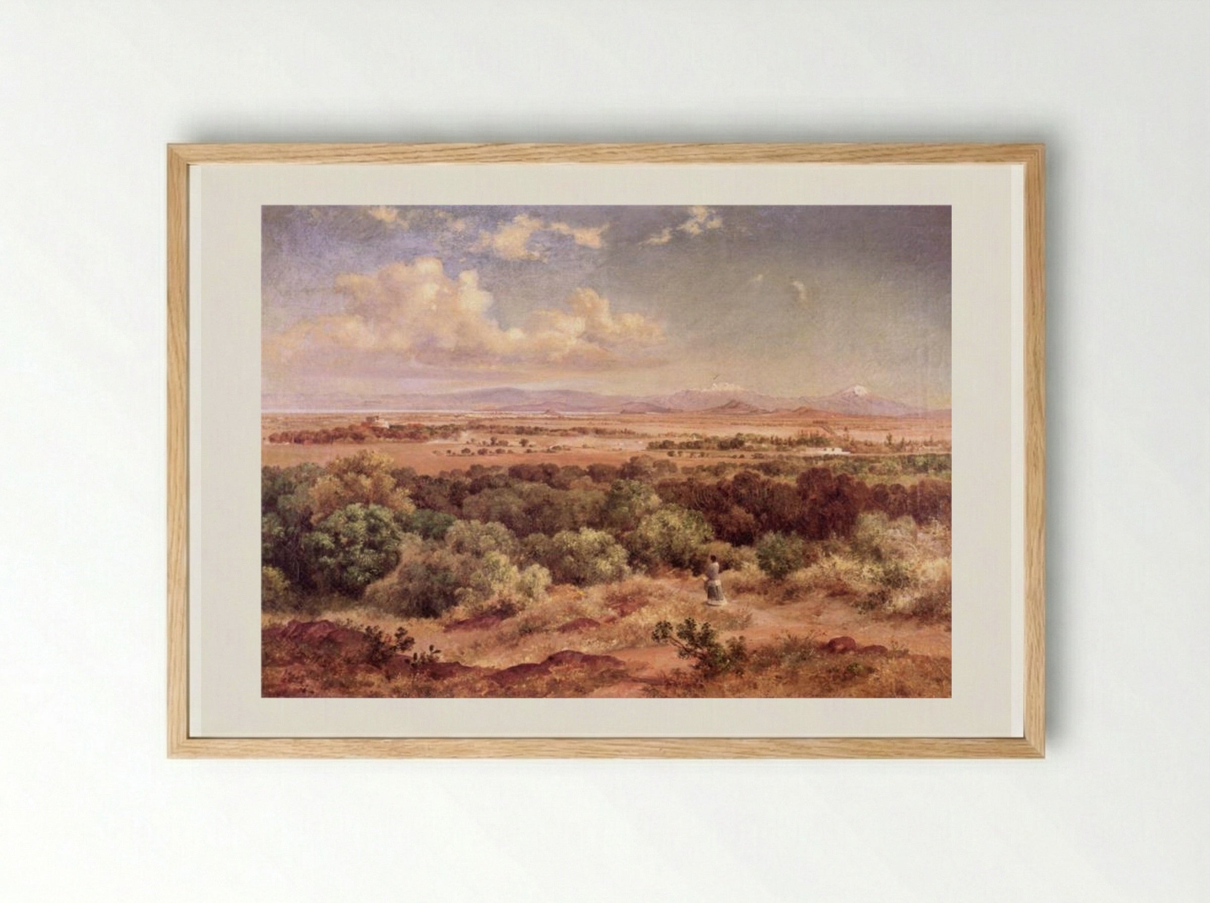 Valle de México tomado en las lomas de Tacubaya - José María Velasco - Framed Print Wood