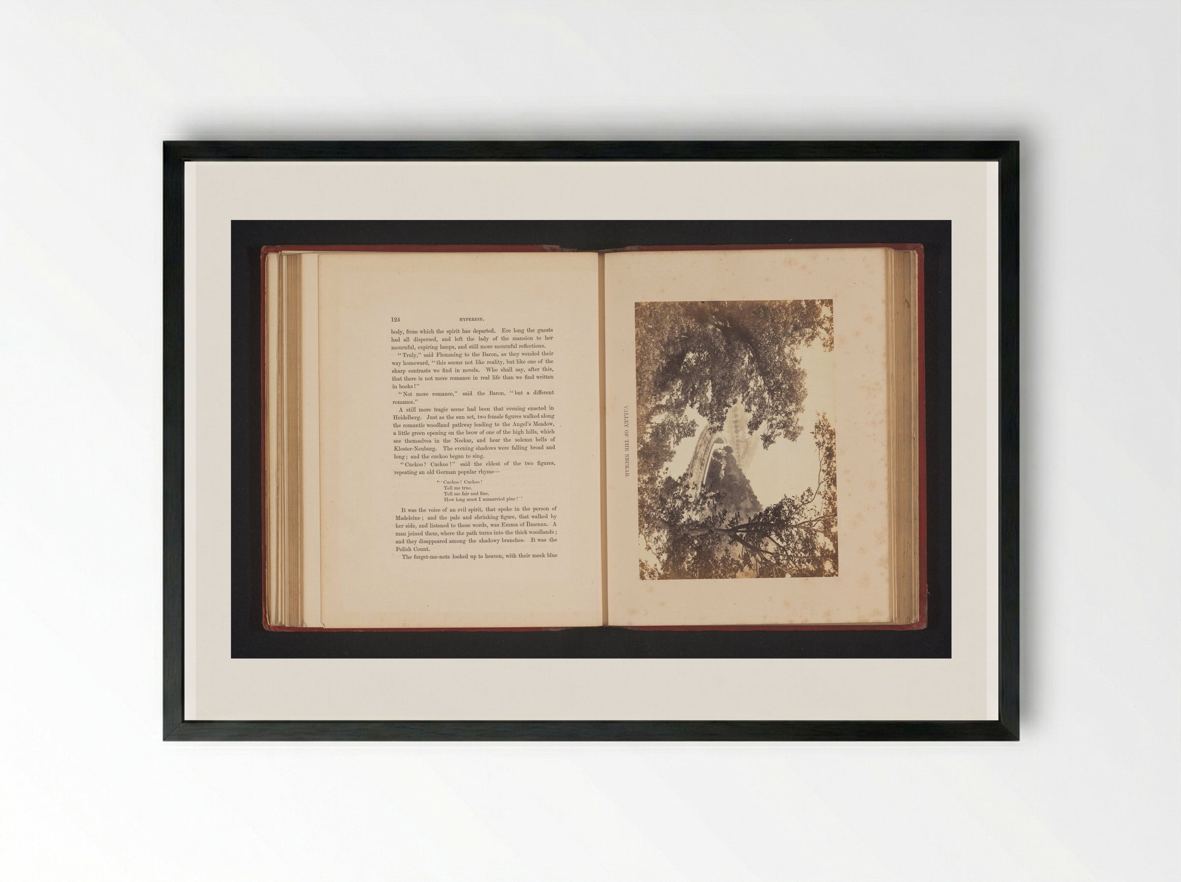 Valley of the Neckar - Francis Frith - Framed Print Black