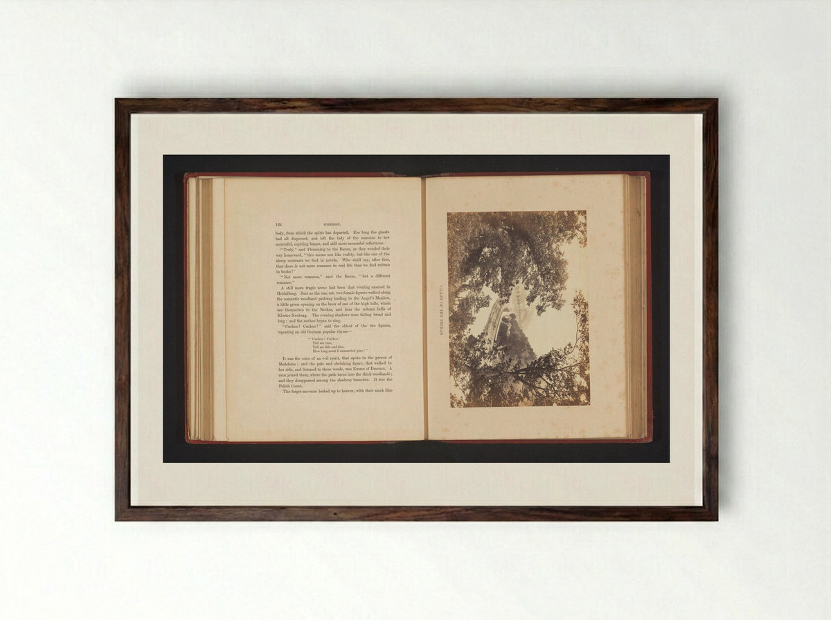 Valley of the Neckar - Francis Frith - Framed Print Dark Wood