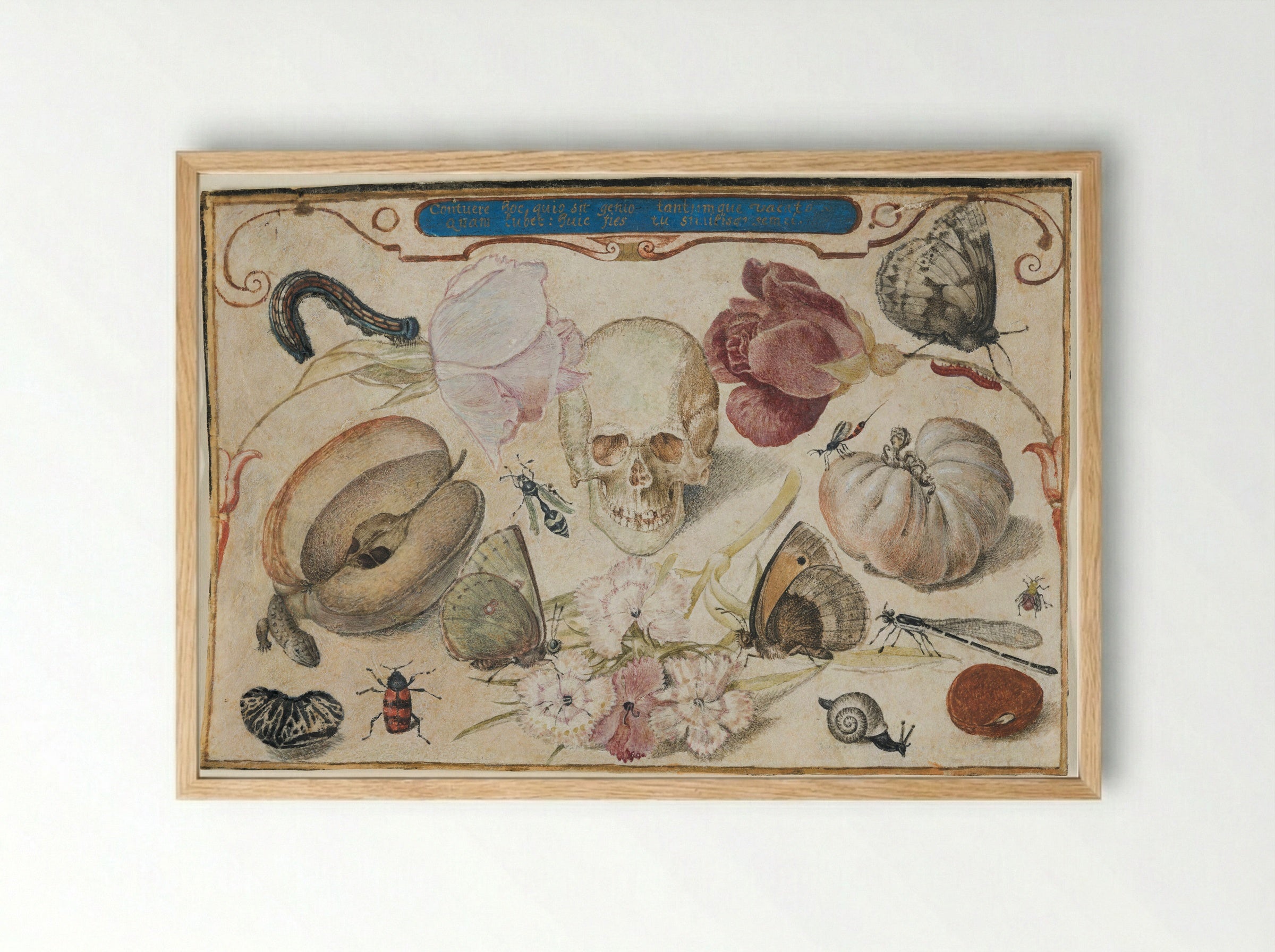 Vanitas - Joris Hoefnagel - Framed Print Wood