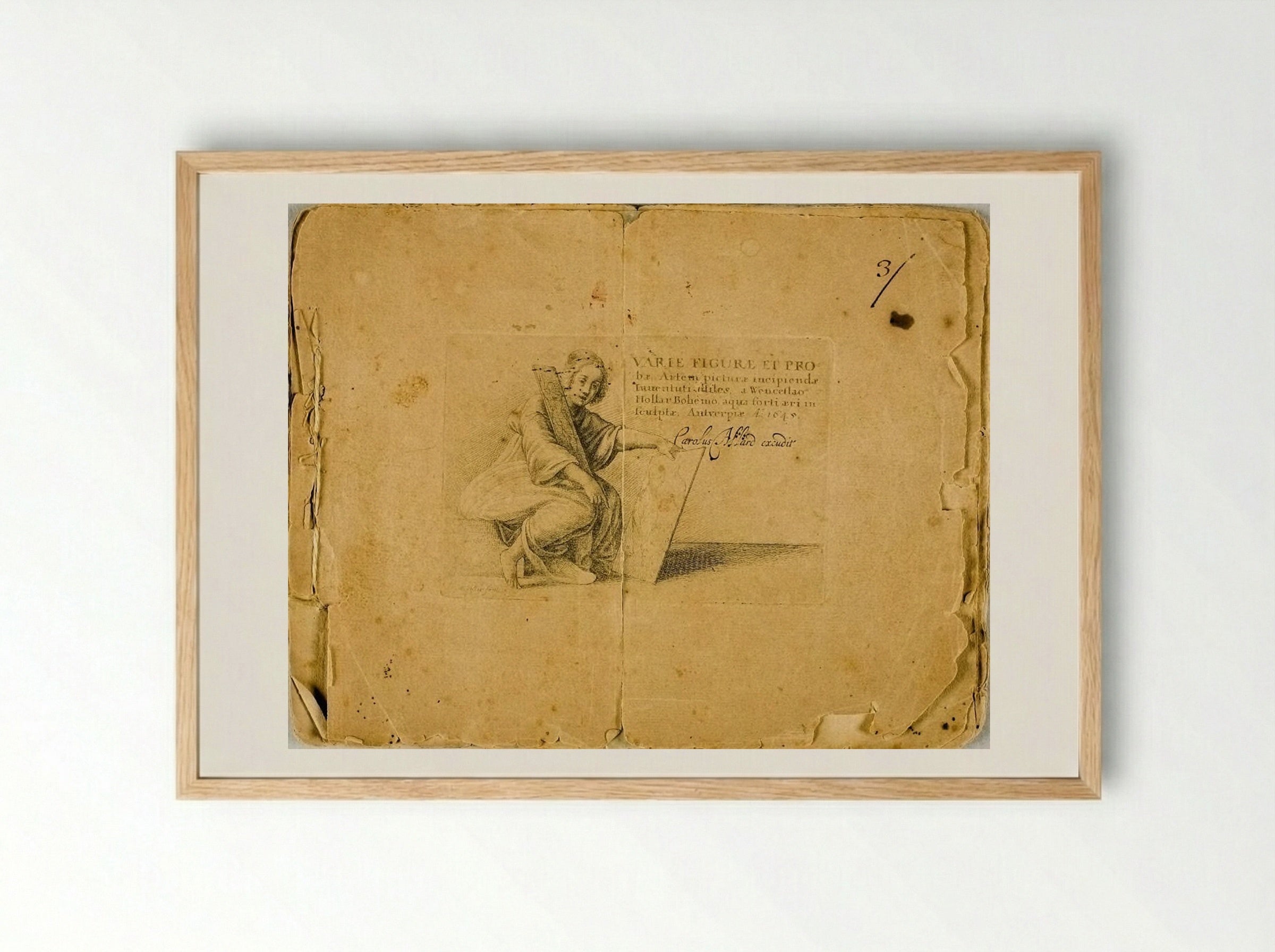 Varie figurae et probae - Wenceslaus Hollar - Framed Print Wood