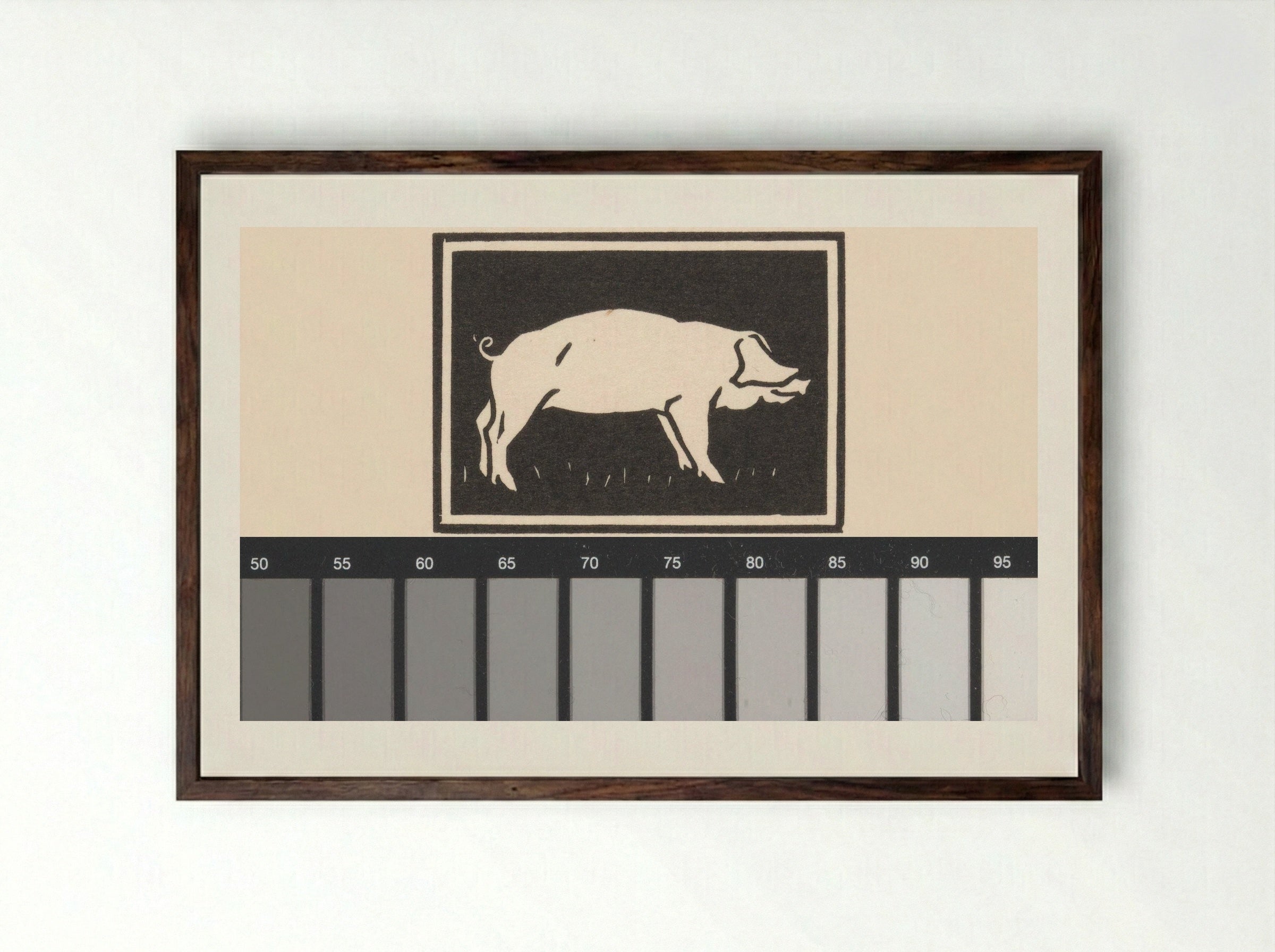 Varken (Pig) - Julie de Graag - Framed Print Dark Wood