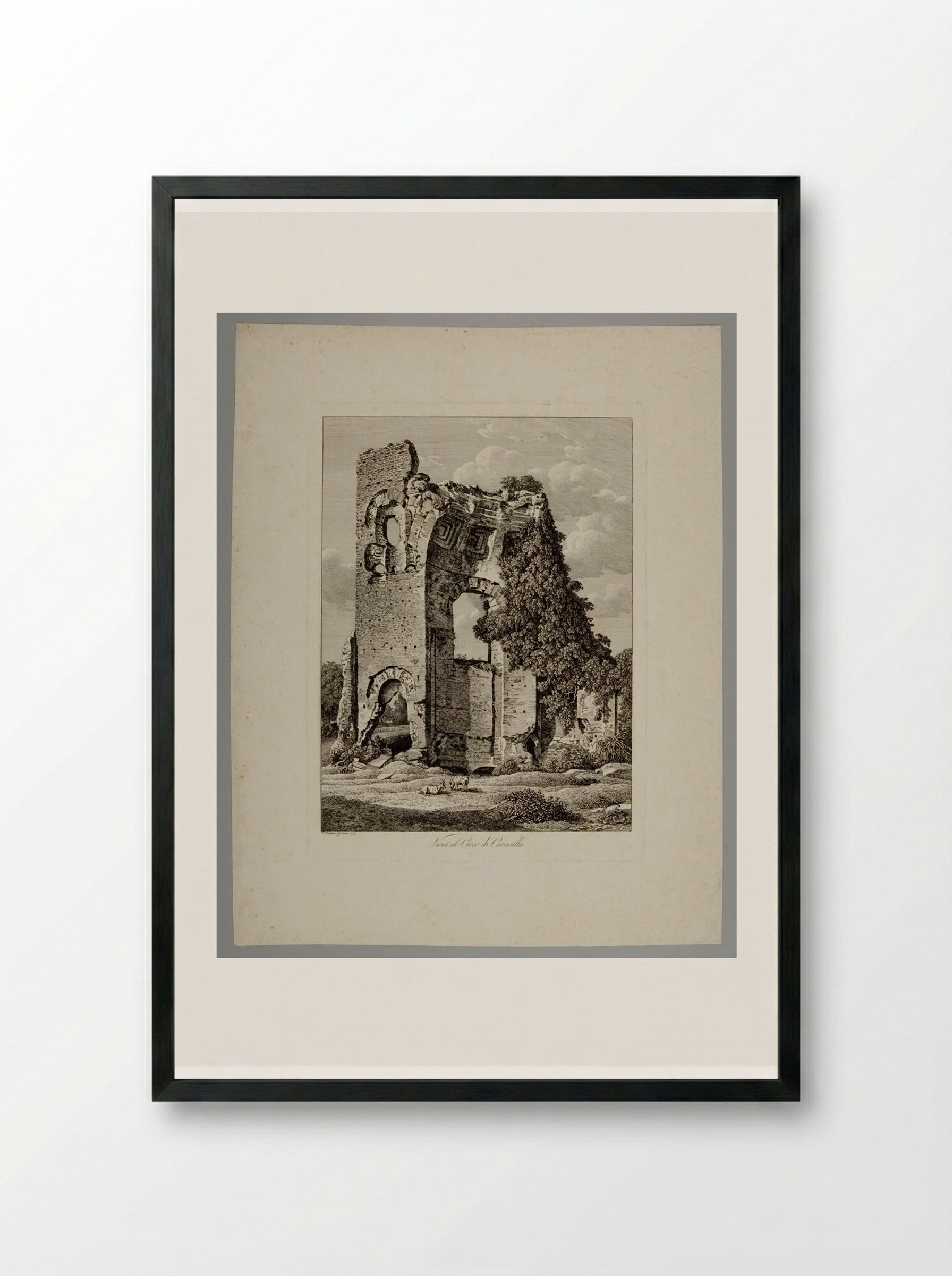 Vicin' al circo di Caracalla - Johann Christian Reinhart - Framed Print Black