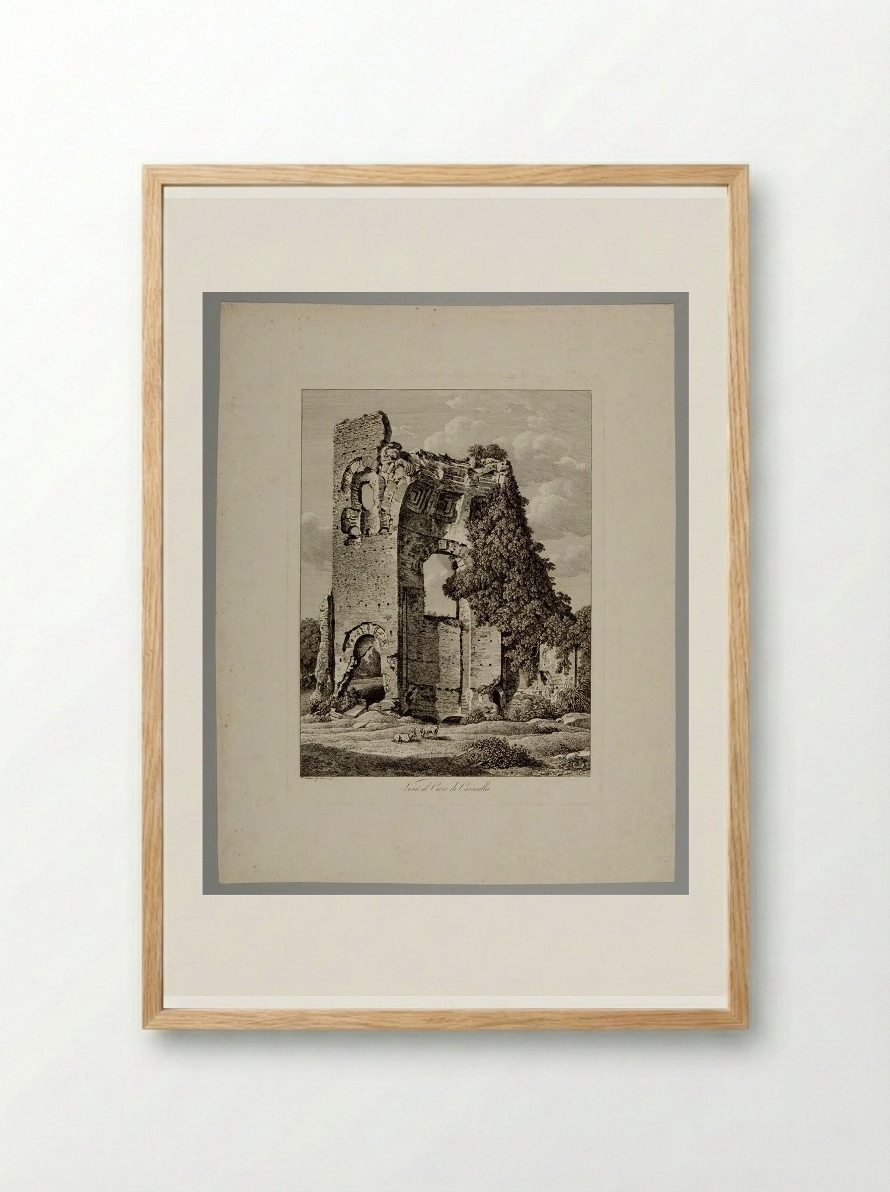 Vicin' al circo di Caracalla - Johann Christian Reinhart - Framed Print Wood