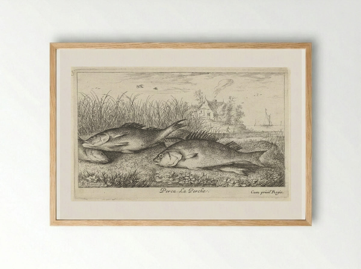 Vier baarzen op een rivieroever - Jacques van Merlen - Framed Print Wood