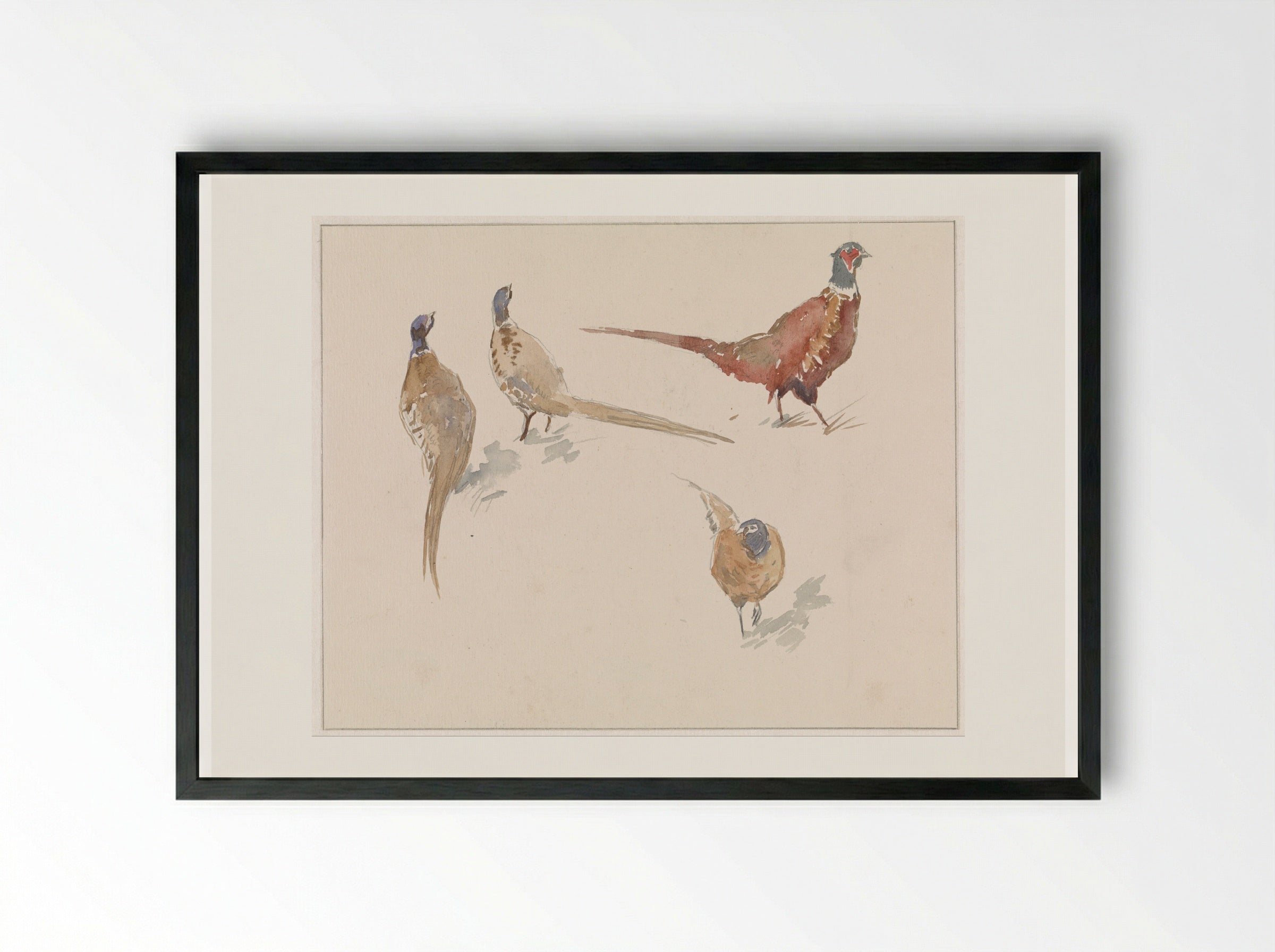 Vier fazanten (Four Pheasants) - Jan van Essen - Framed Print Black
