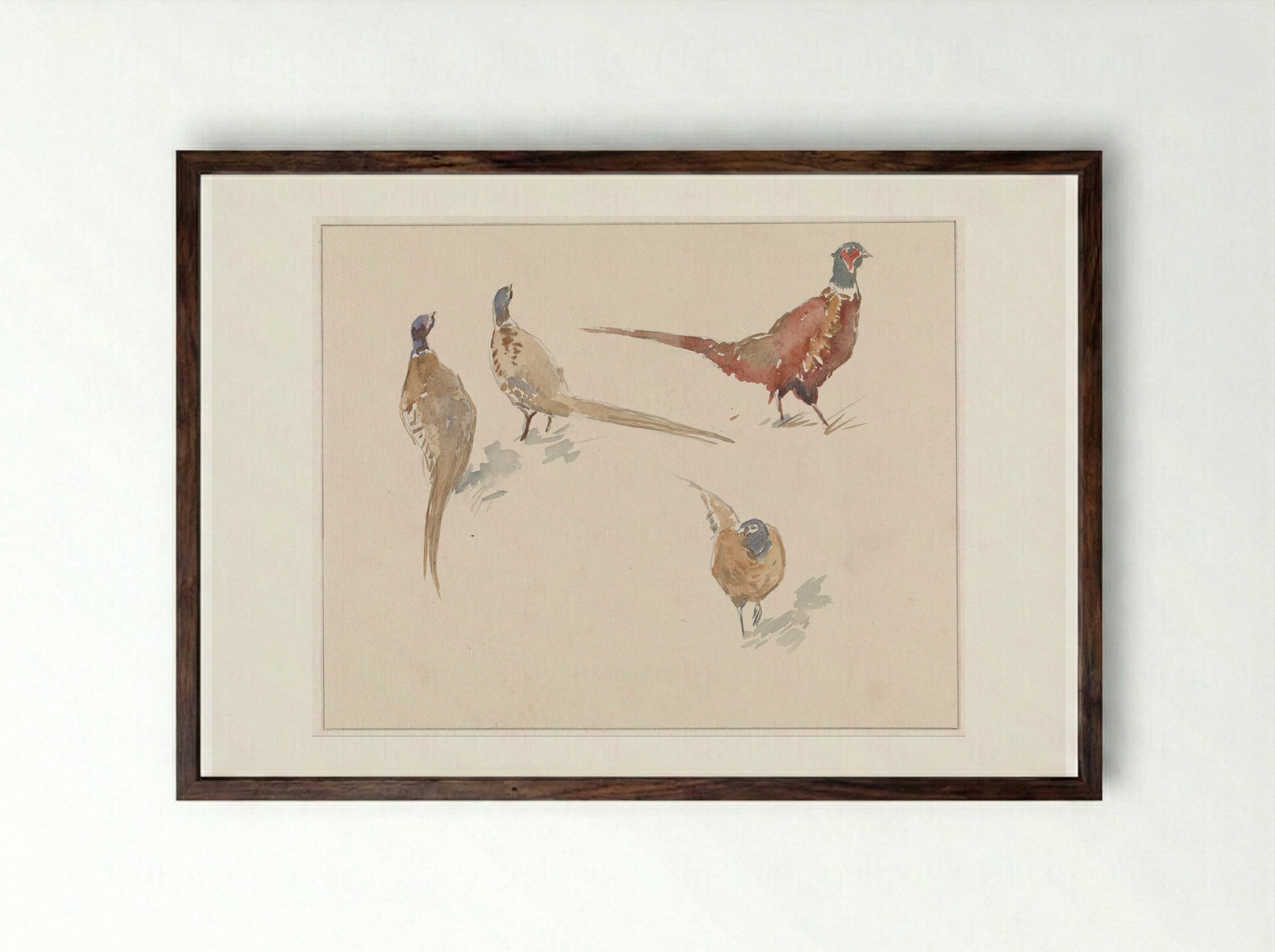 Vier fazanten (Four Pheasants) - Jan van Essen - Framed Print Dark Wood