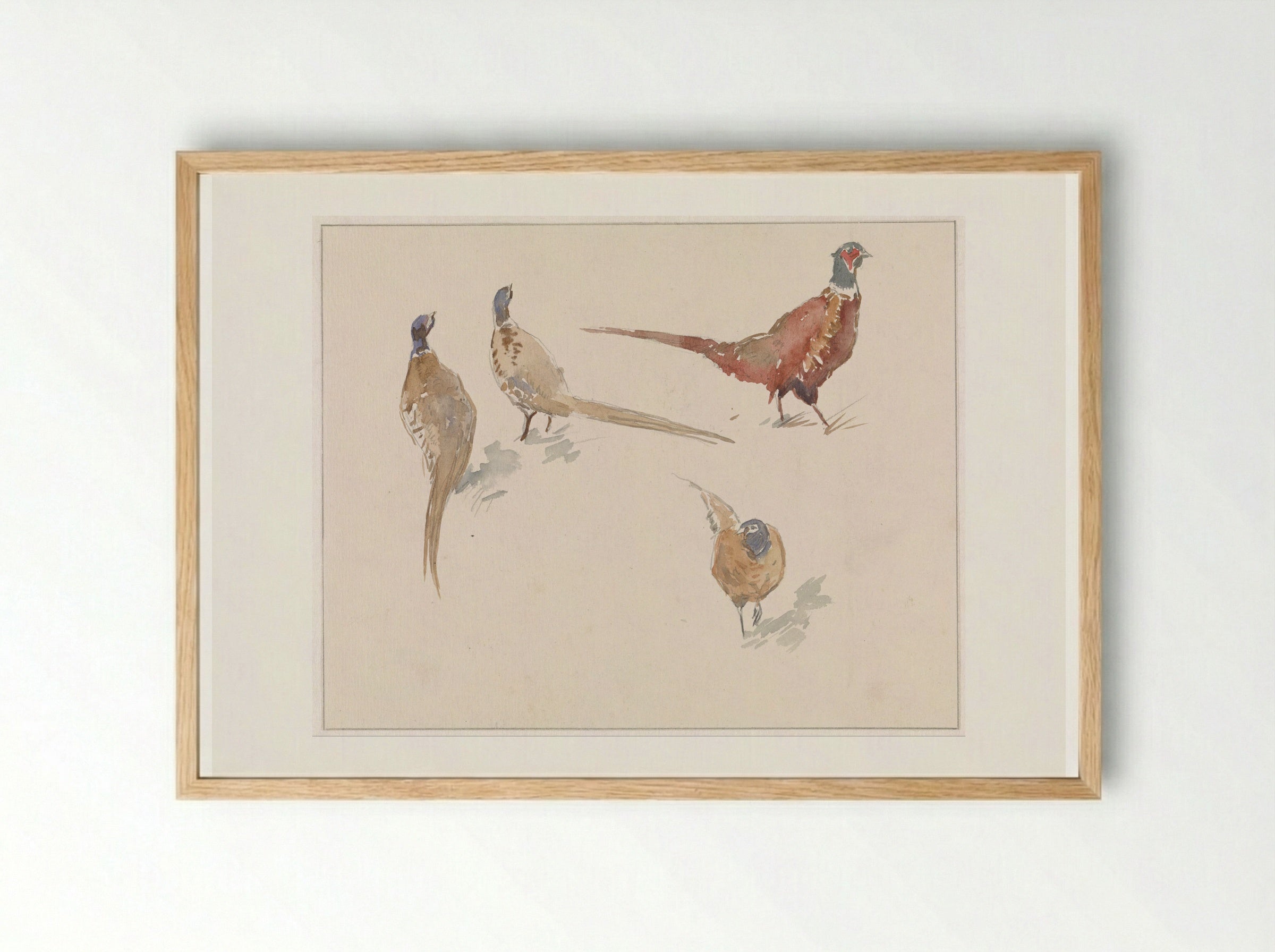 Vier fazanten (Four Pheasants) - Jan van Essen - Framed Print Wood