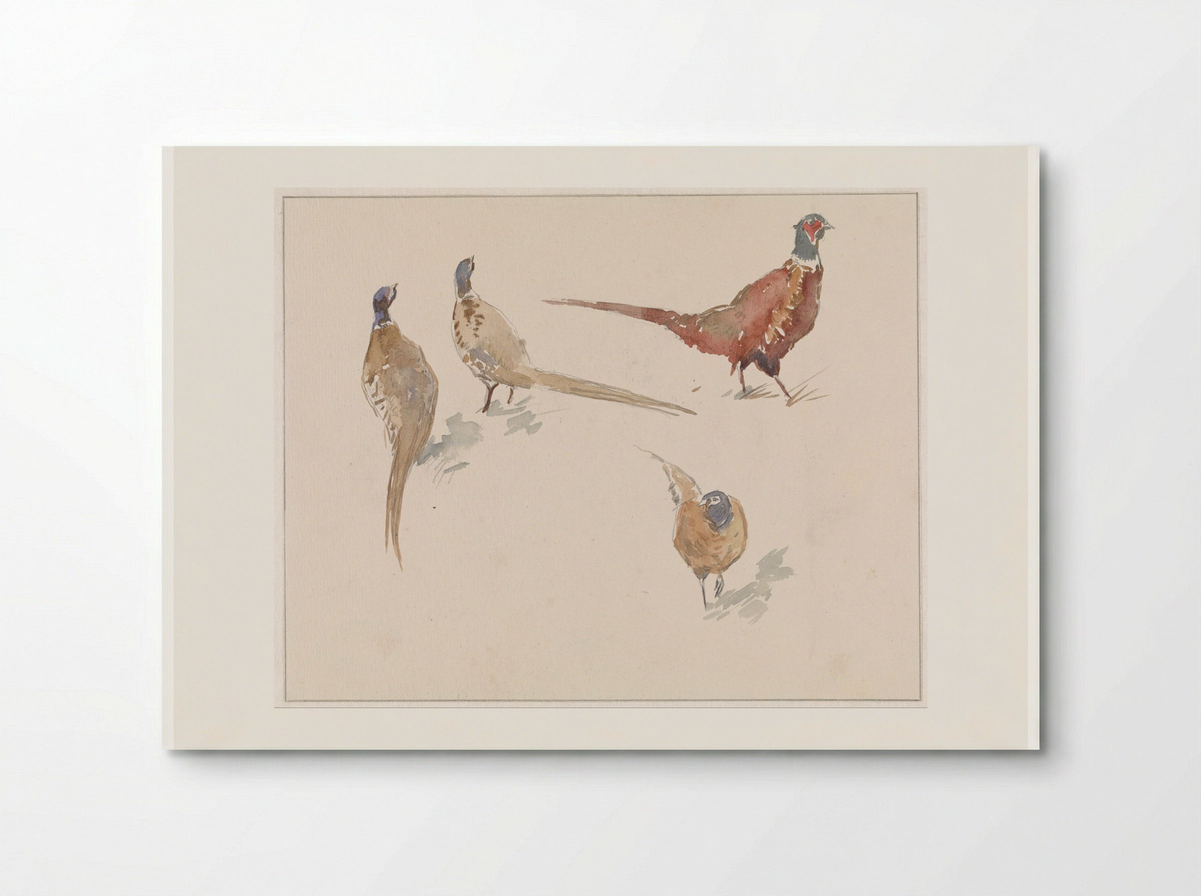 Vier fazanten (Four Pheasants) - Jan van Essen - Poster