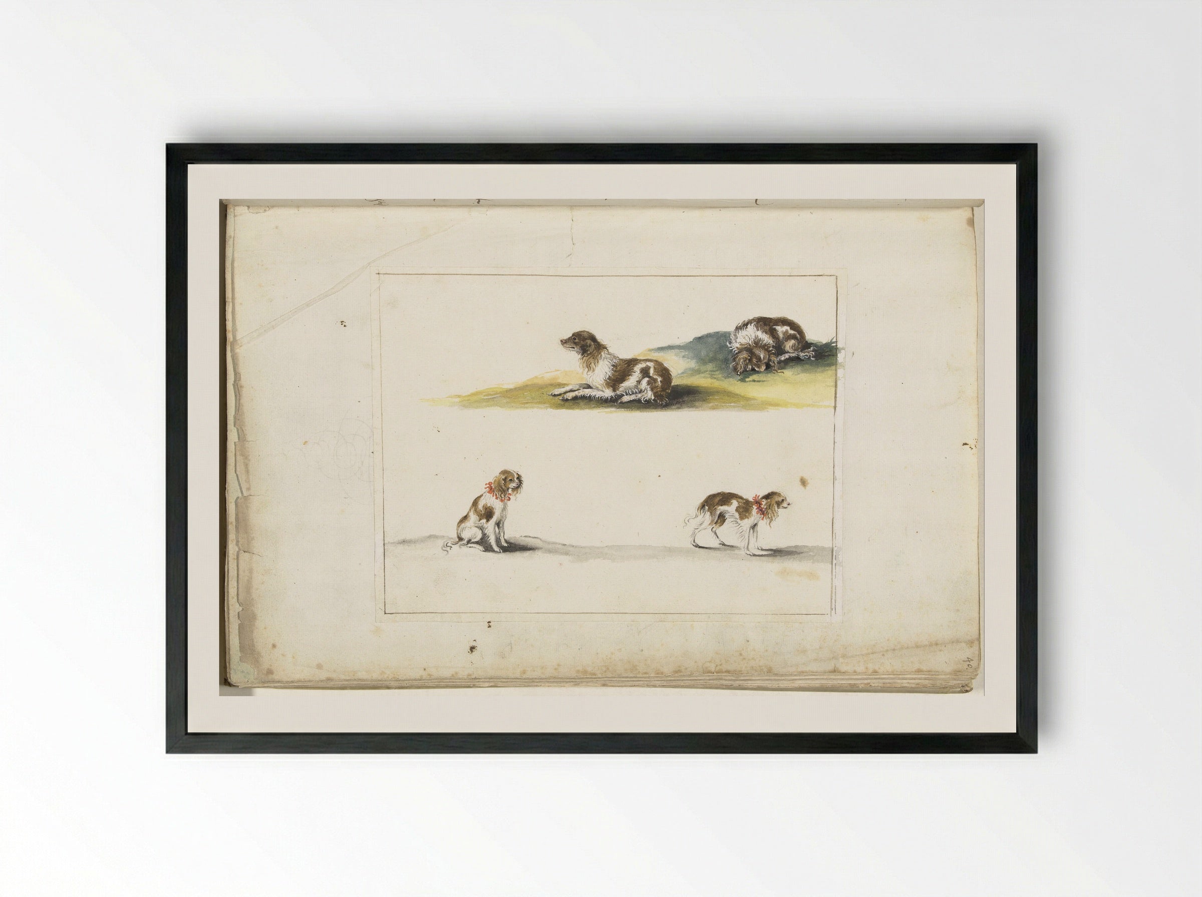 Vier studies van honden - Gesina ter Borch - Framed Print Black