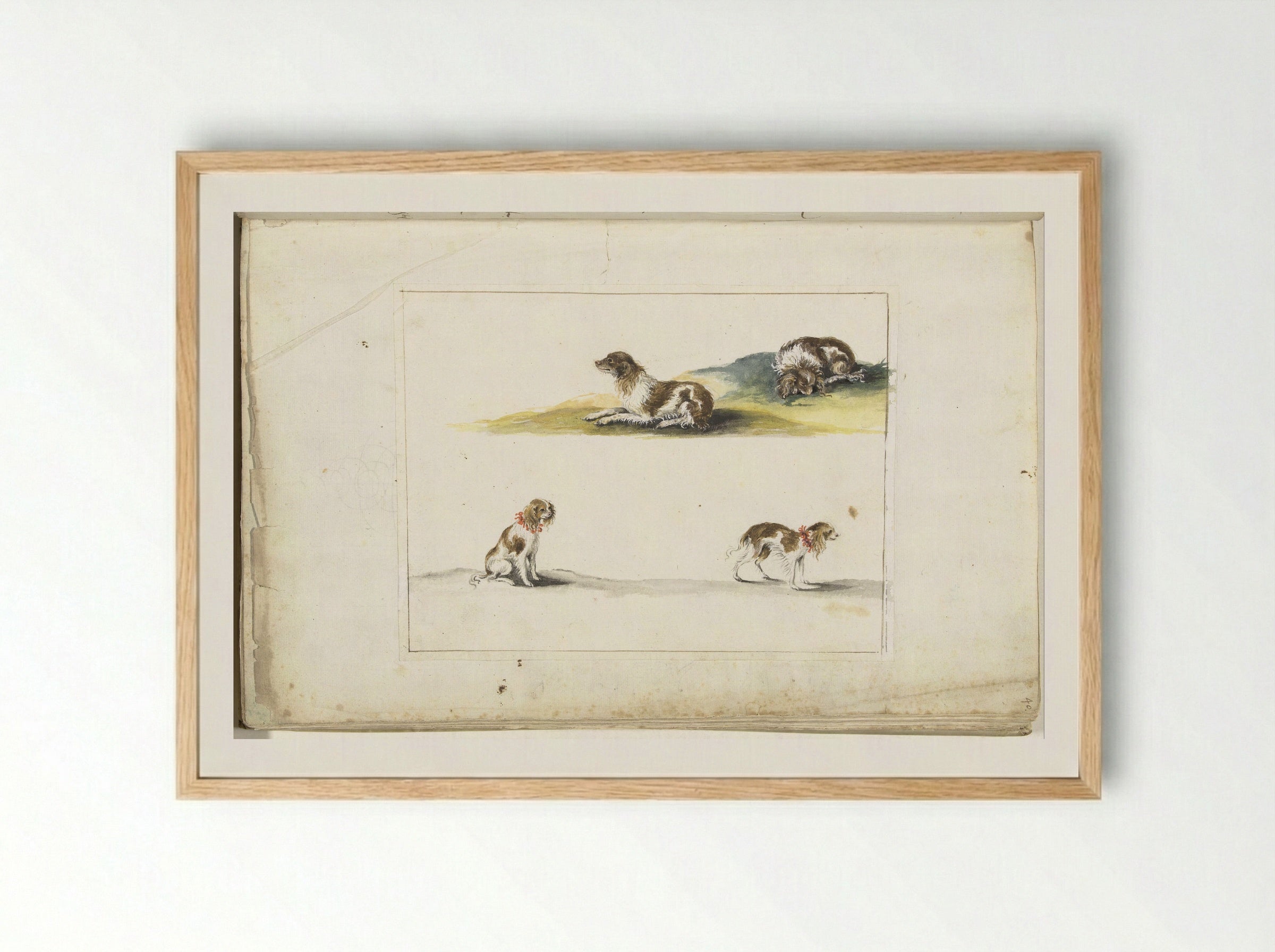 Vier studies van honden - Gesina ter Borch - Framed Print Wood