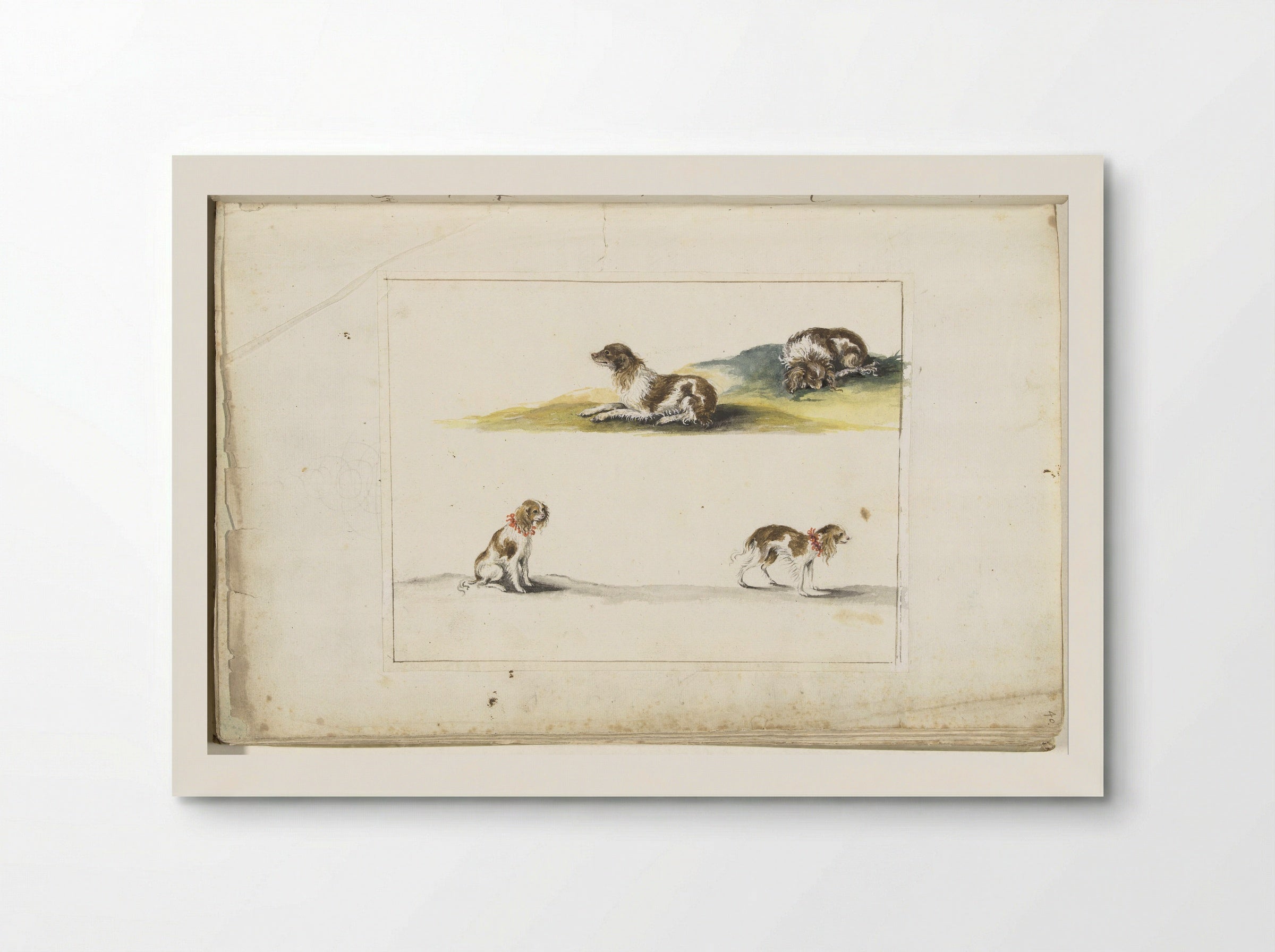 Vier studies van honden - Gesina ter Borch - Poster