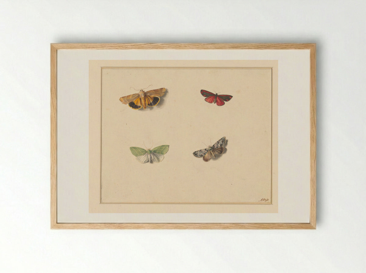 Vier vlinders (Four Butterflies) - Anton Weiss - Framed Print Wood