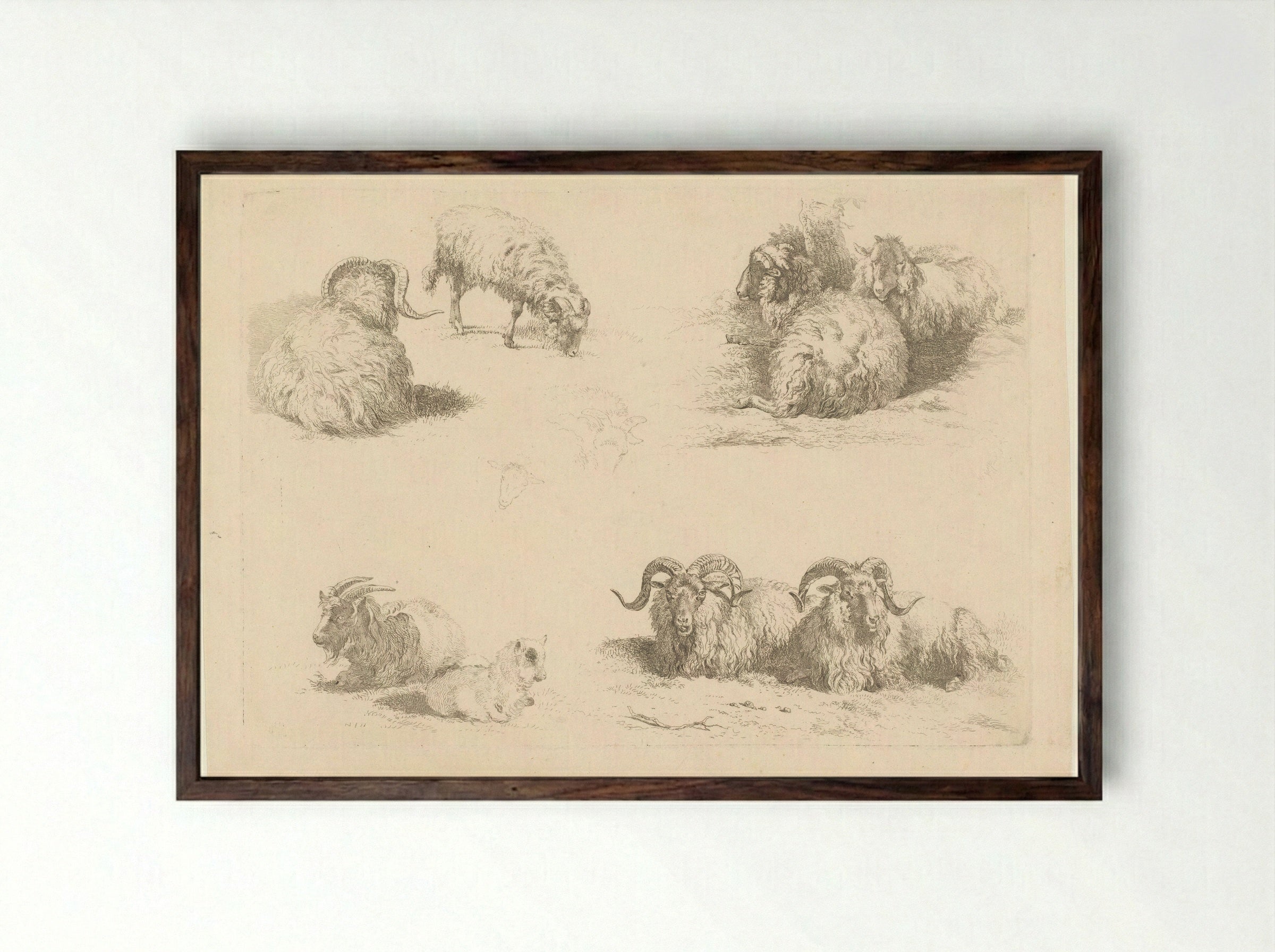 Vier voorstellingen met schapen en geiten - Pieter Gerardus van Os - Framed Print Dark Wood