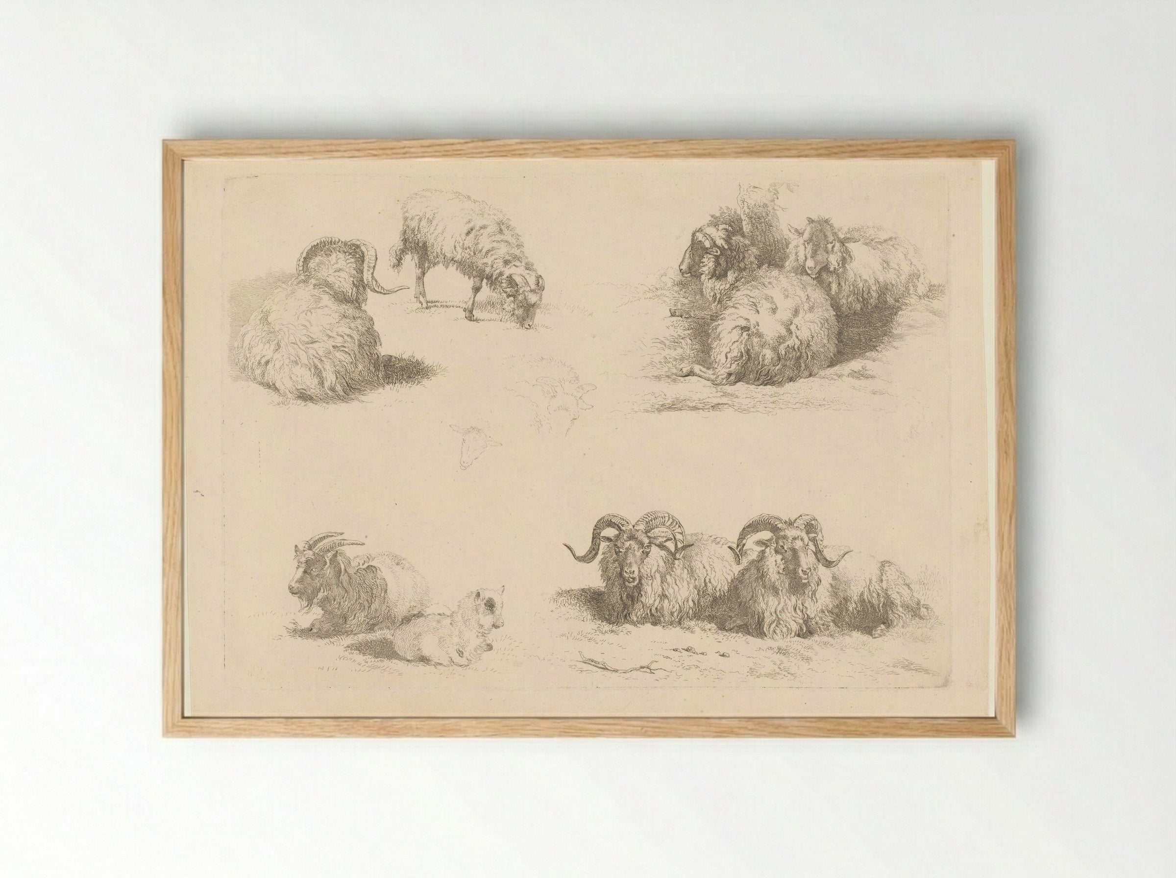 Vier voorstellingen met schapen en geiten - Pieter Gerardus van Os - Framed Print Wood
