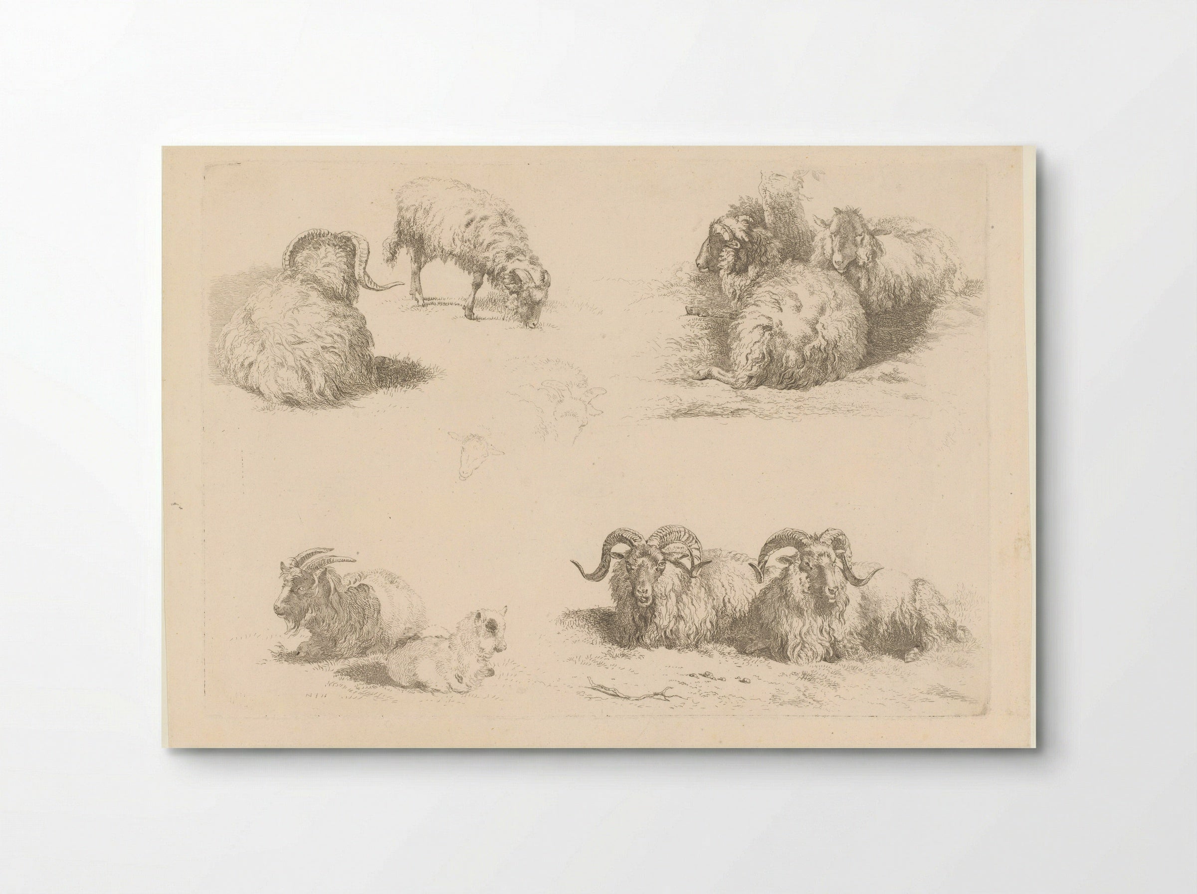Vier voorstellingen met schapen en geiten - Pieter Gerardus van Os - Poster