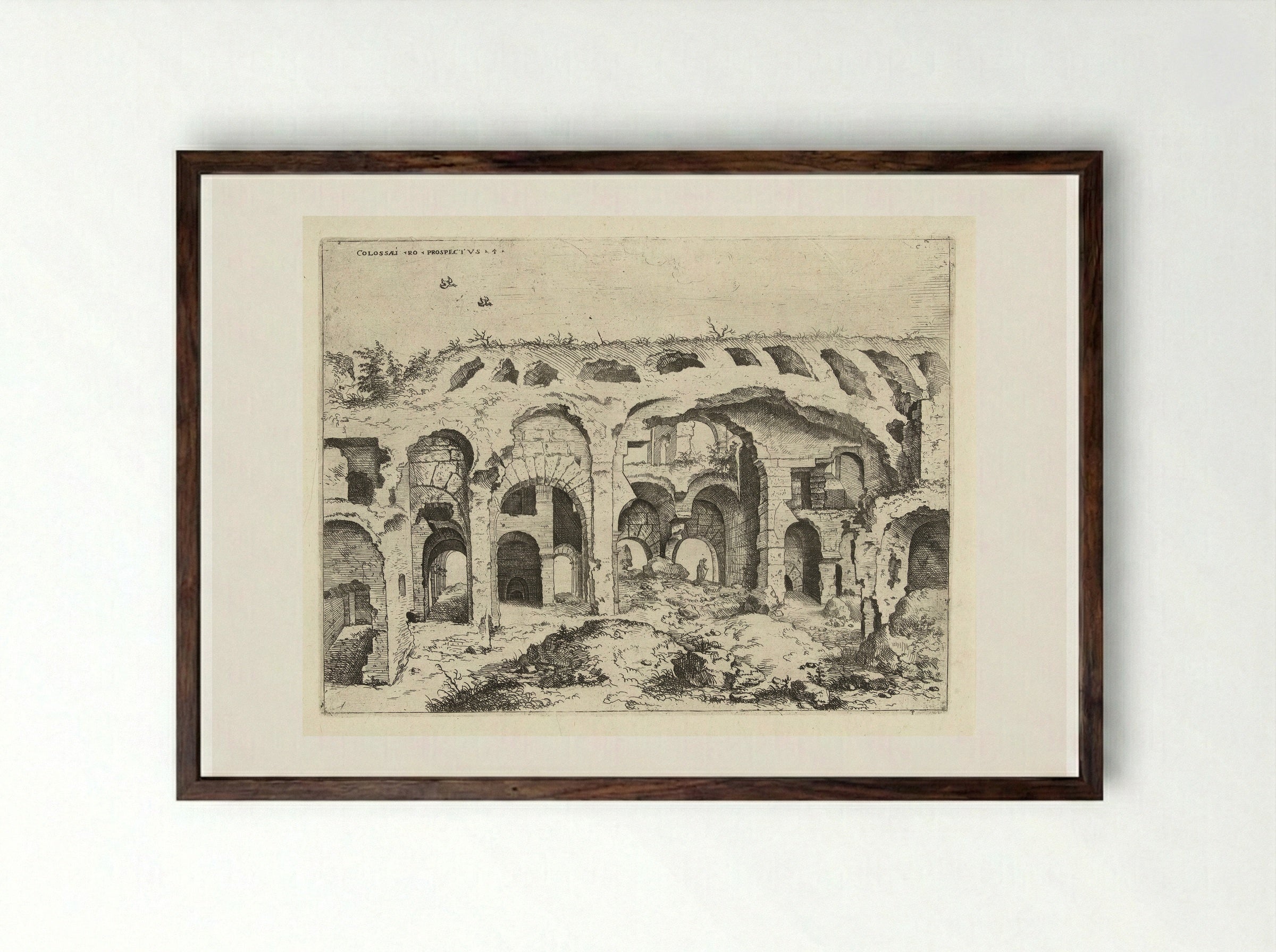 Vierde gezicht op het Colosseum te Rome - Hieronymus Cock - Framed Print Dark Wood