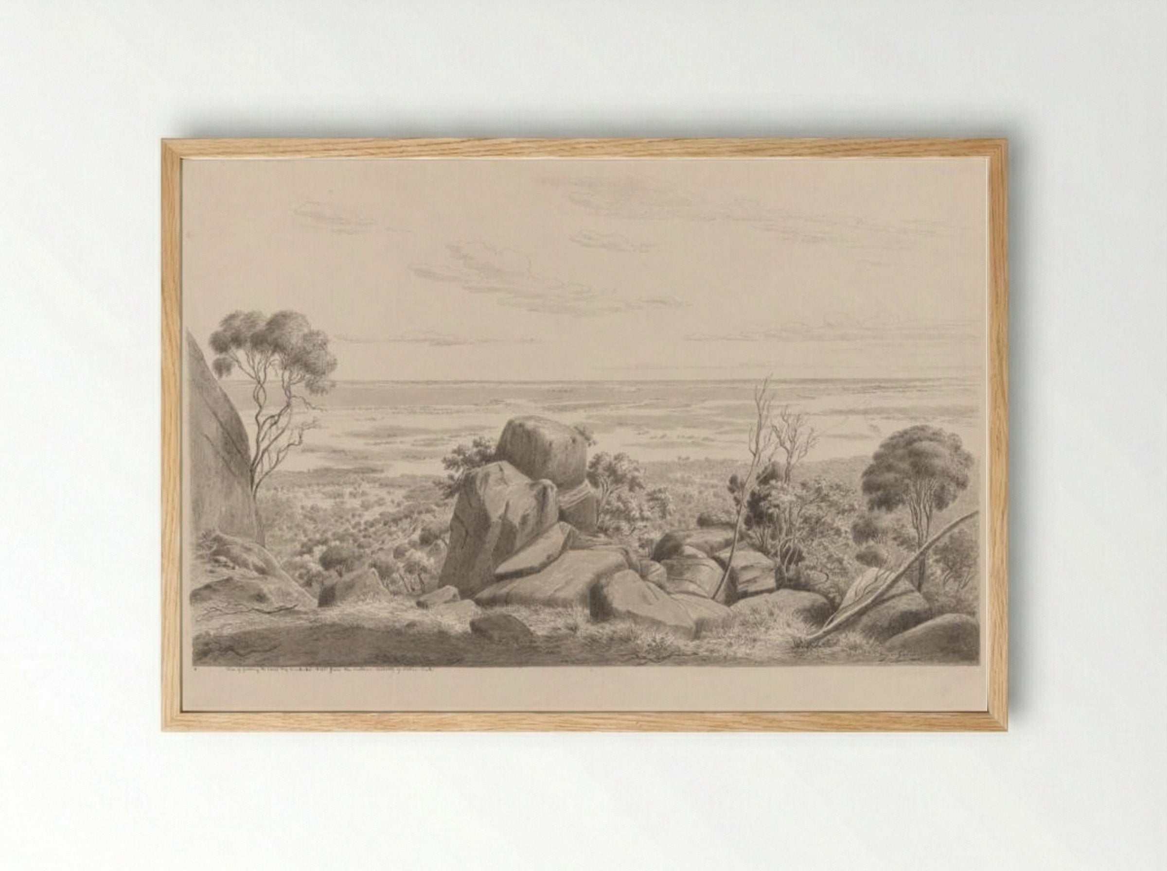 View of Geelong, the Corio Bay and Indented Heads from the southern declivity of Station Peak - Eugene von Guerard - Framed Print Wood