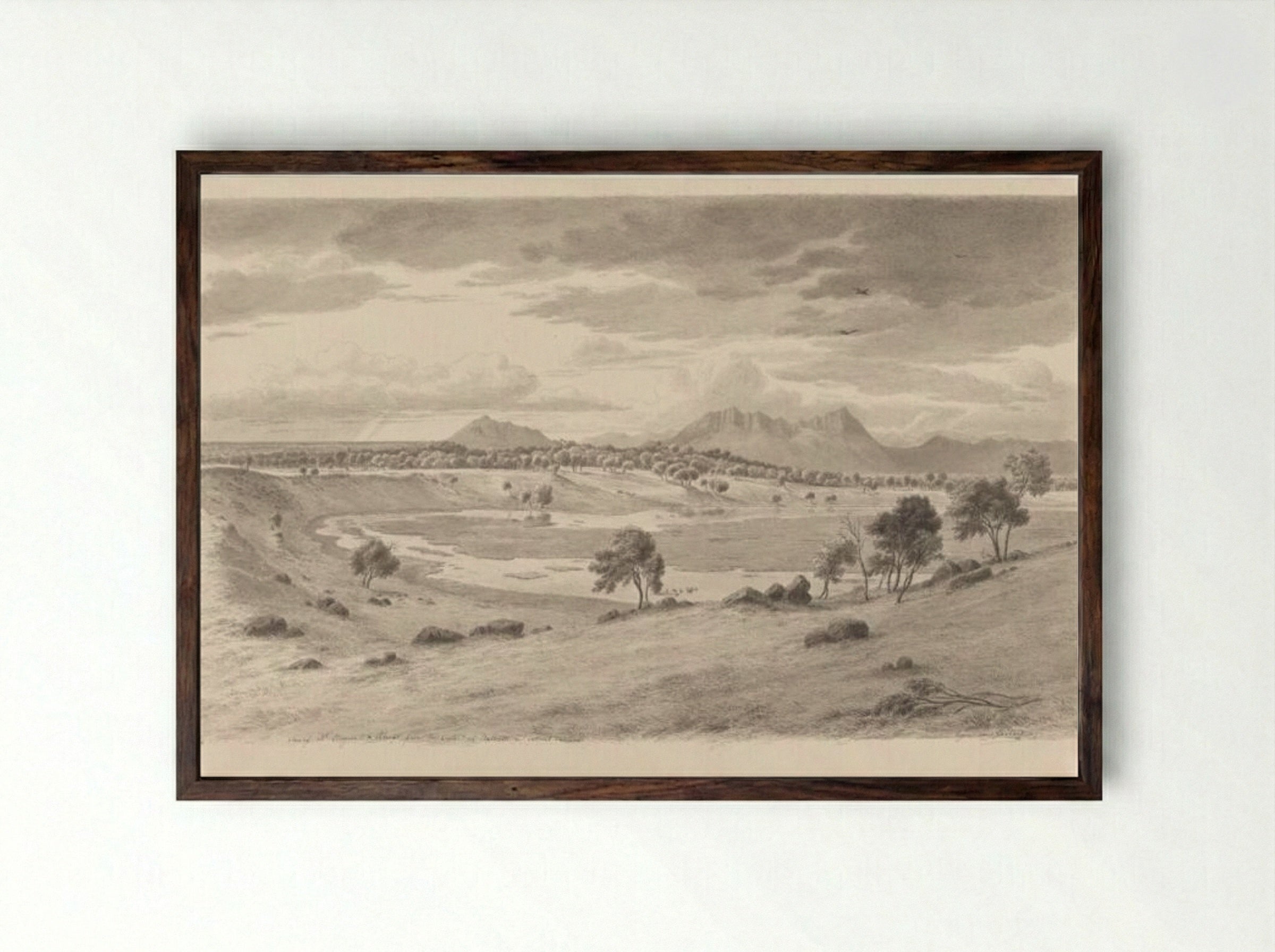 View of Mount Sturgeon and Abrupt from the crater of Bald Hill - Eugene von Guerard - Framed Print Dark Wood