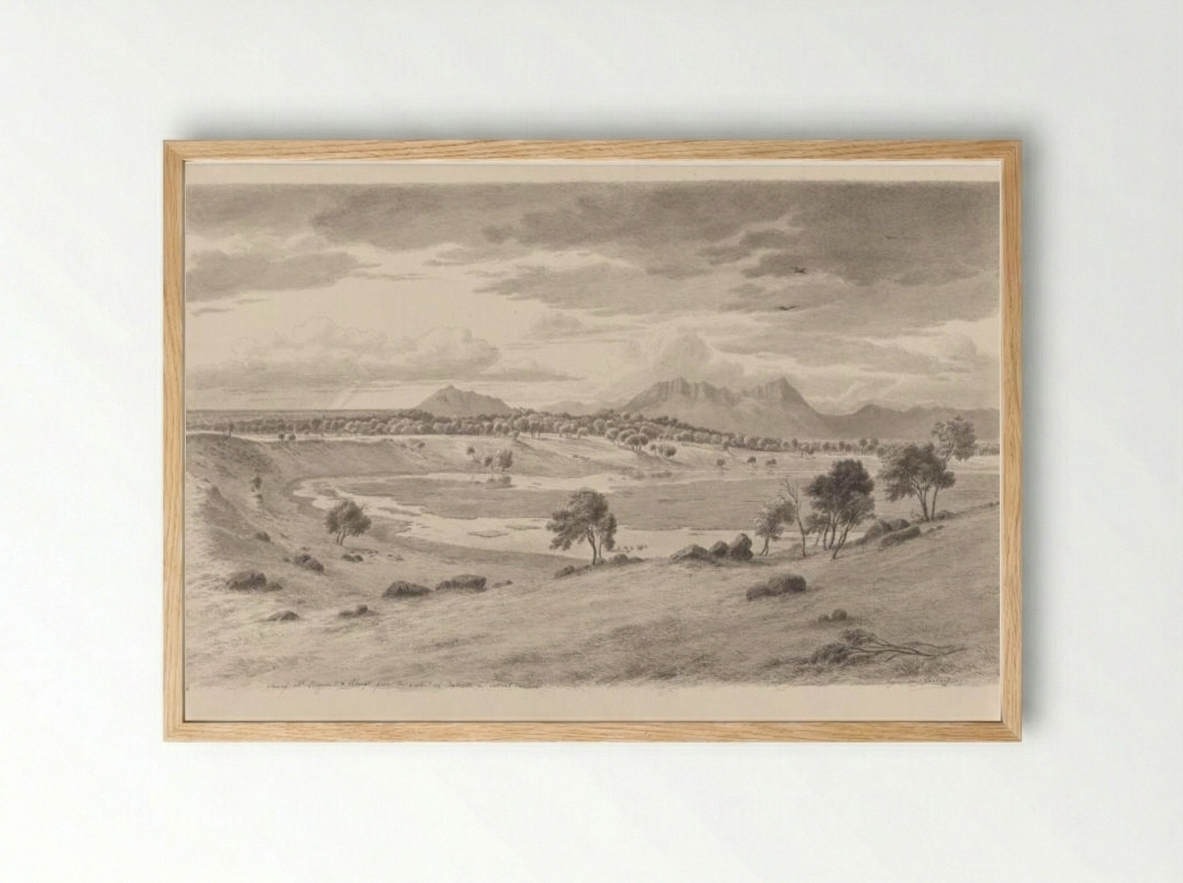 View of Mount Sturgeon and Abrupt from the crater of Bald Hill - Eugene von Guerard - Framed Print Wood